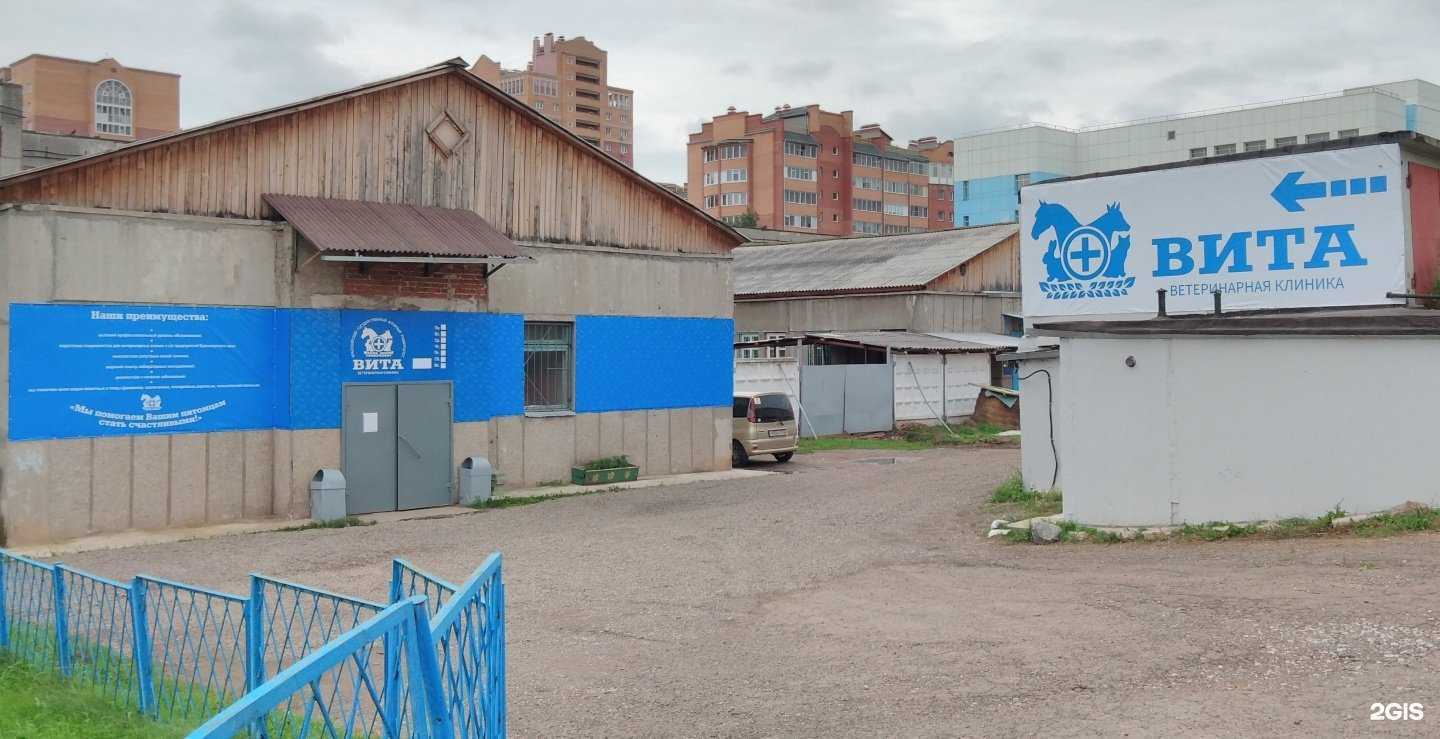 Отзывы на компанию Вита в г. Красноярск c фото