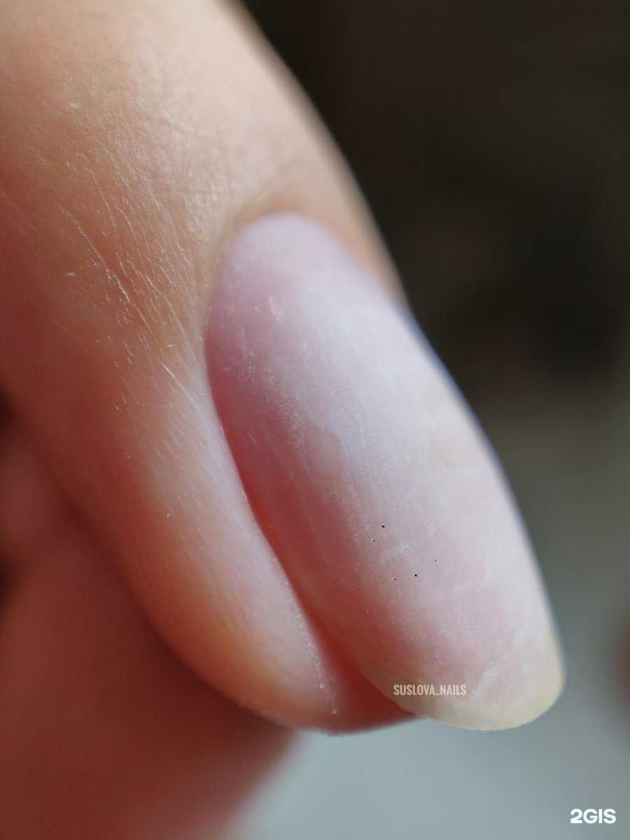 Отзывы на компанию Yuliya Suslova в г. Петрозаводск c фото