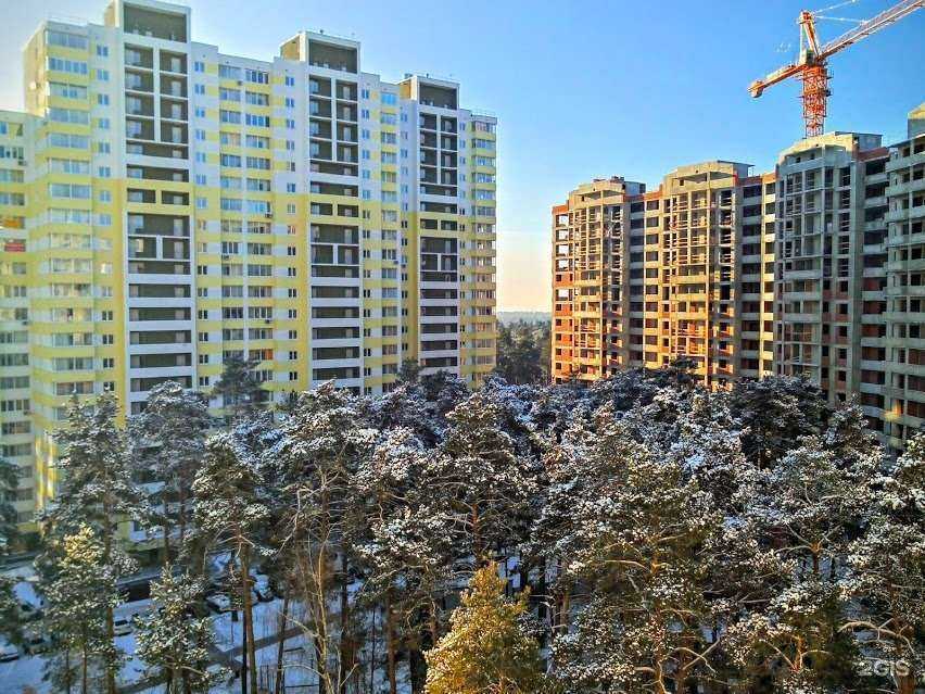 Отзывы на компанию Верный друг в г. Раменское c фото