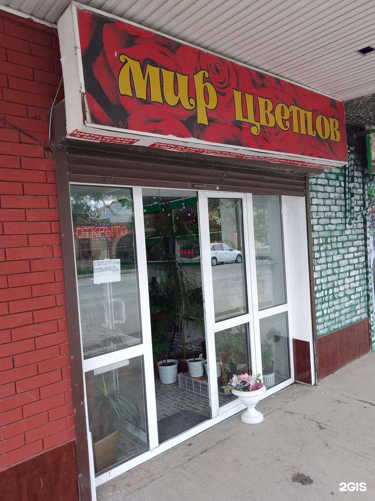 Отзывы на компанию Мир цветов в Буйнакске c фото