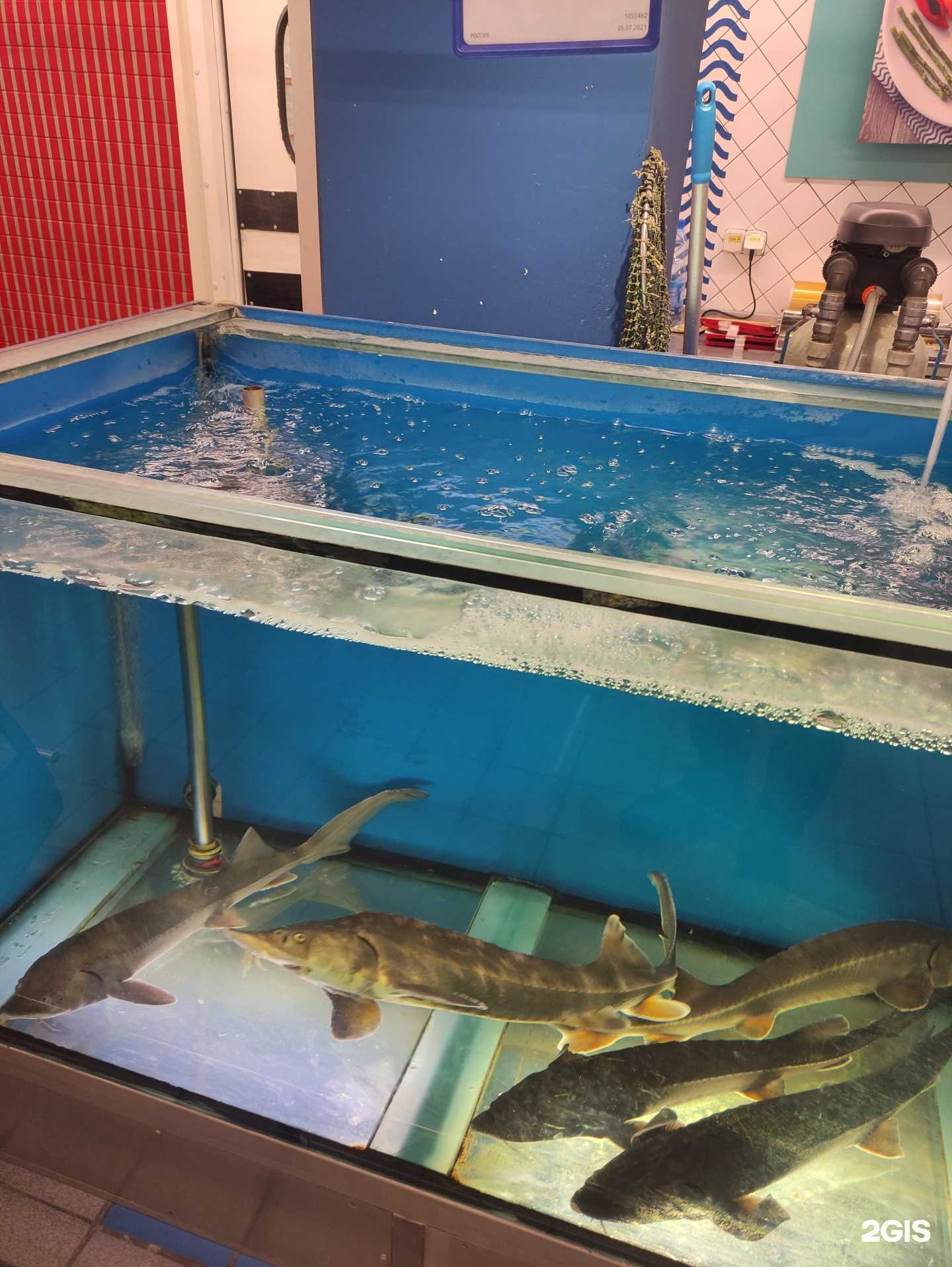 Отзывы на компанию Виктория  в г. Калининград c фото