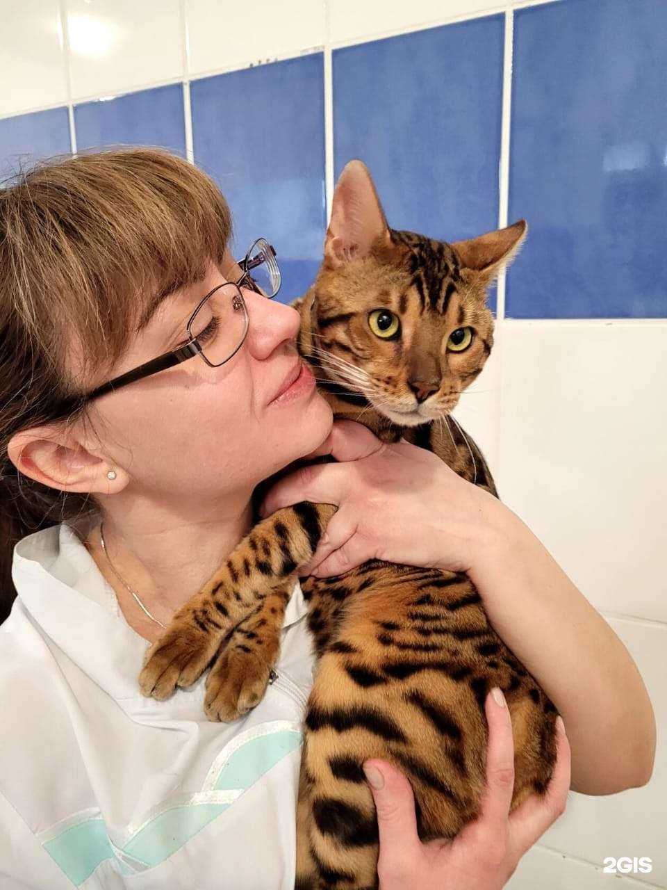 Отзывы на компанию Амиго в г. Ростов-на-Дону c фото