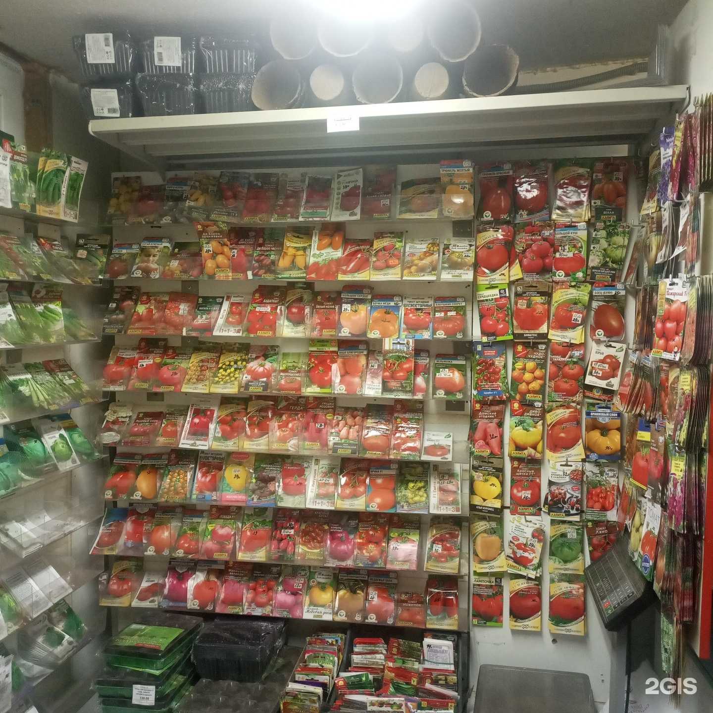 Отзывы на компанию Ботаник в Великом Новгороде c фото