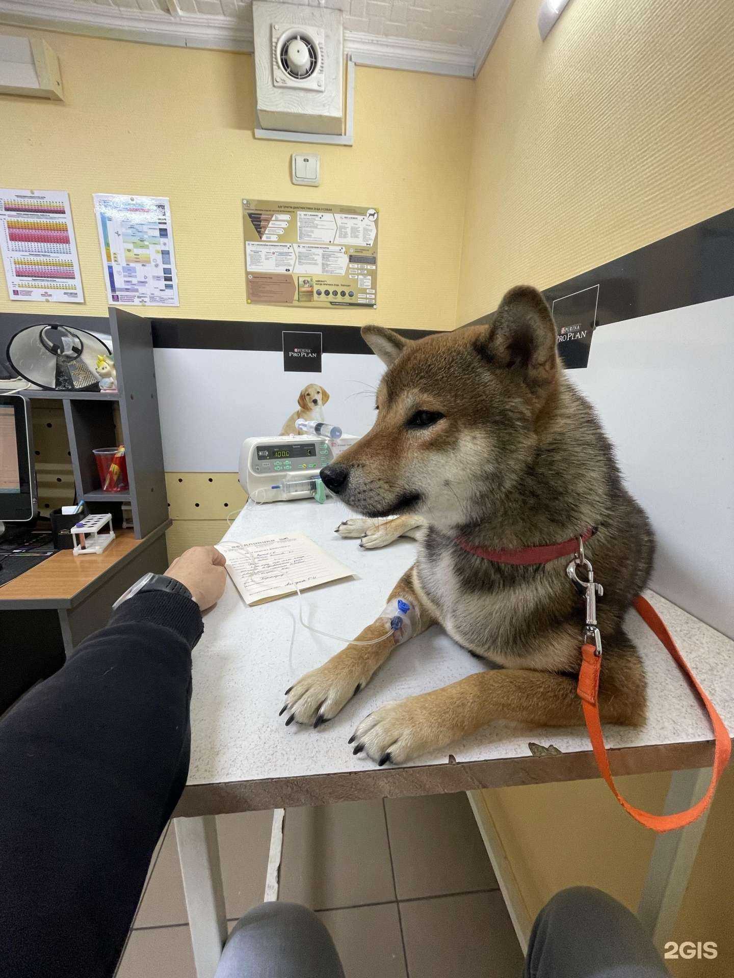 Отзывы на компанию 911 в Казани c фото