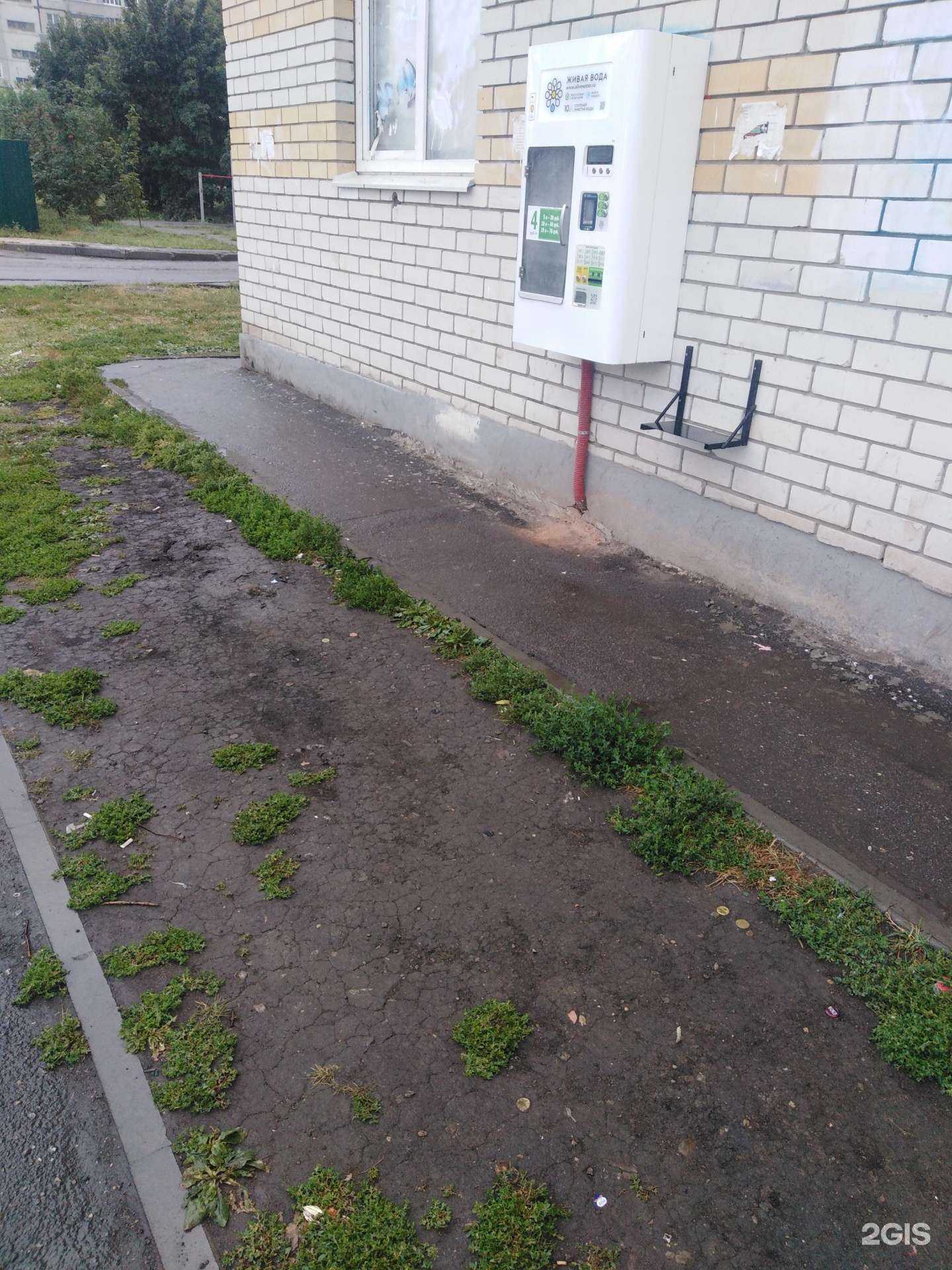 Отзывы на компанию Живая вода  в Тамбове c фото