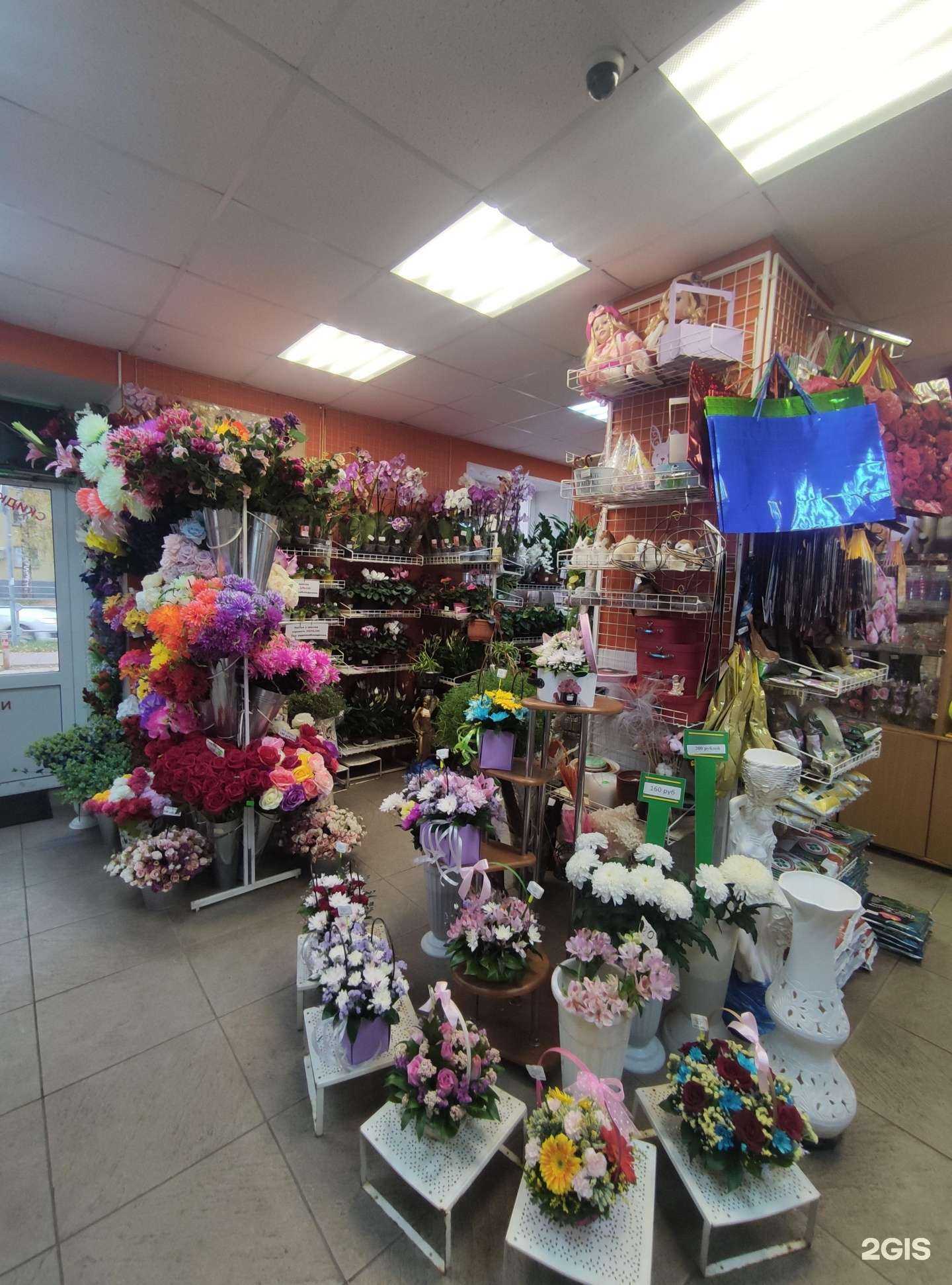 Отзывы на компанию Камелия в Солнечногорске c фото