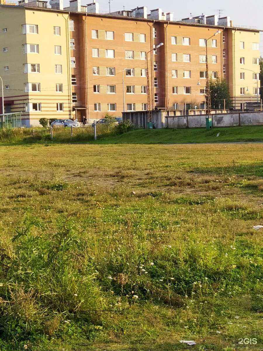 Отзывы на компанию Центр УЗИ в Петрозаводске c фото - фотография 2 из 2