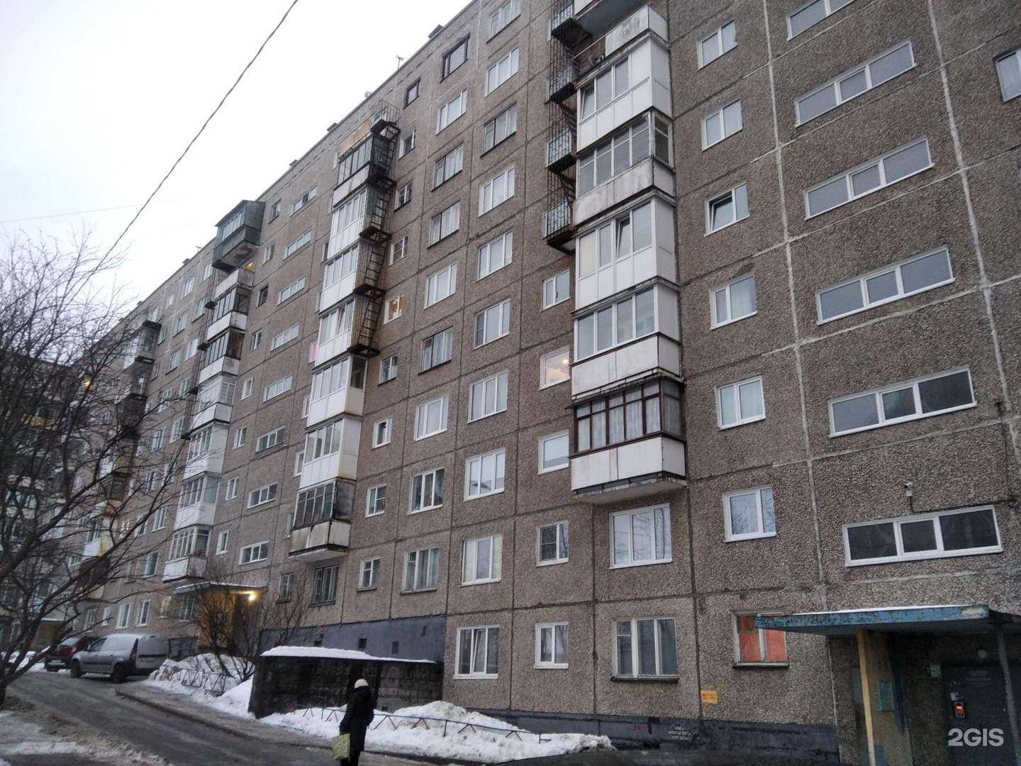 Отзывы на компанию Чистый пушистый в Мурманске c фото - фотография 2 из 2