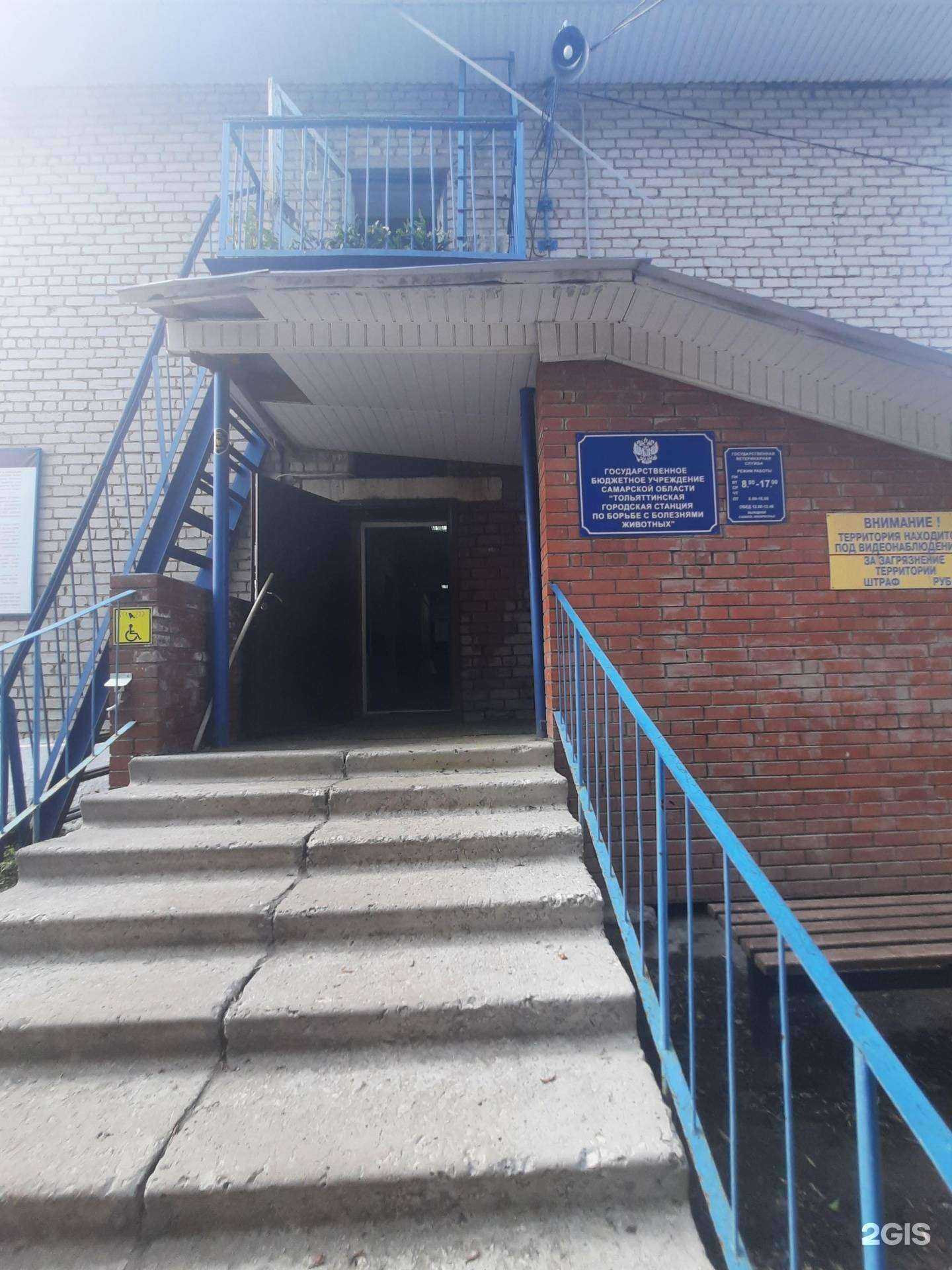 Отзывы на компанию Самарская областная ветеринарная лаборатория в г. Тольятти c фото