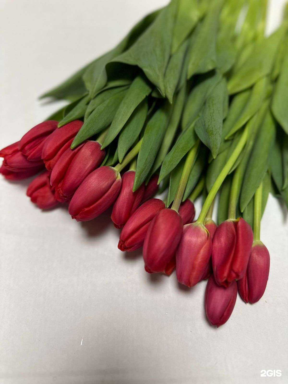 Отзывы на компанию GiveFLo в Новосибирске c фото