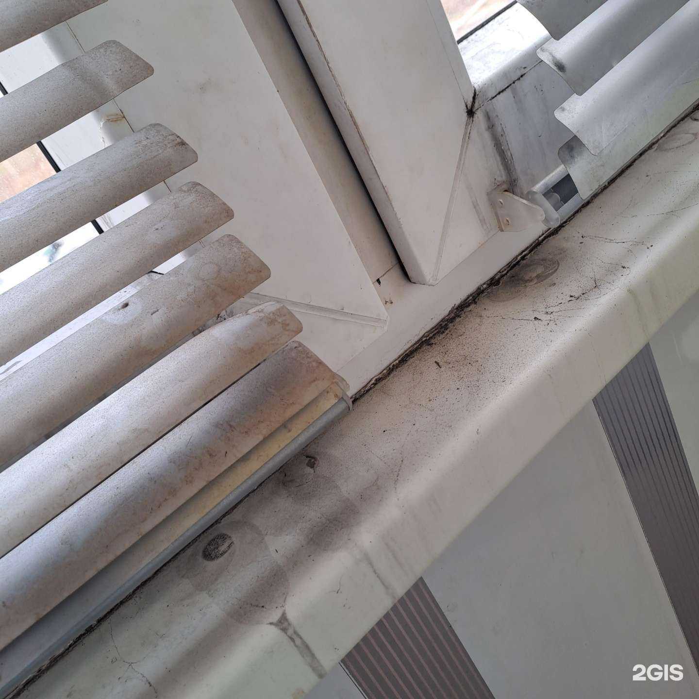 Отзывы на компанию Радуга в Сургуте c фото