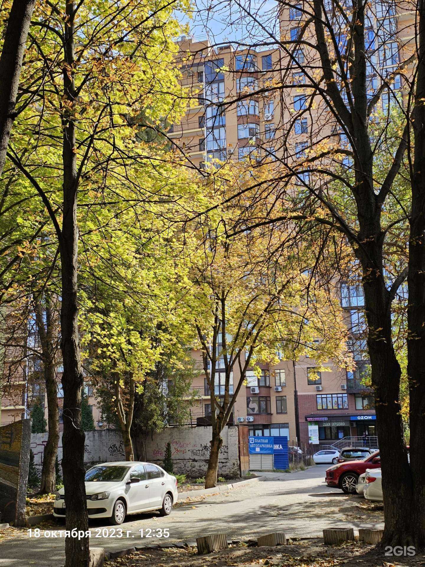 Отзывы на компанию Head в Ростове-на-Дону c фото - фотография 2 из 2