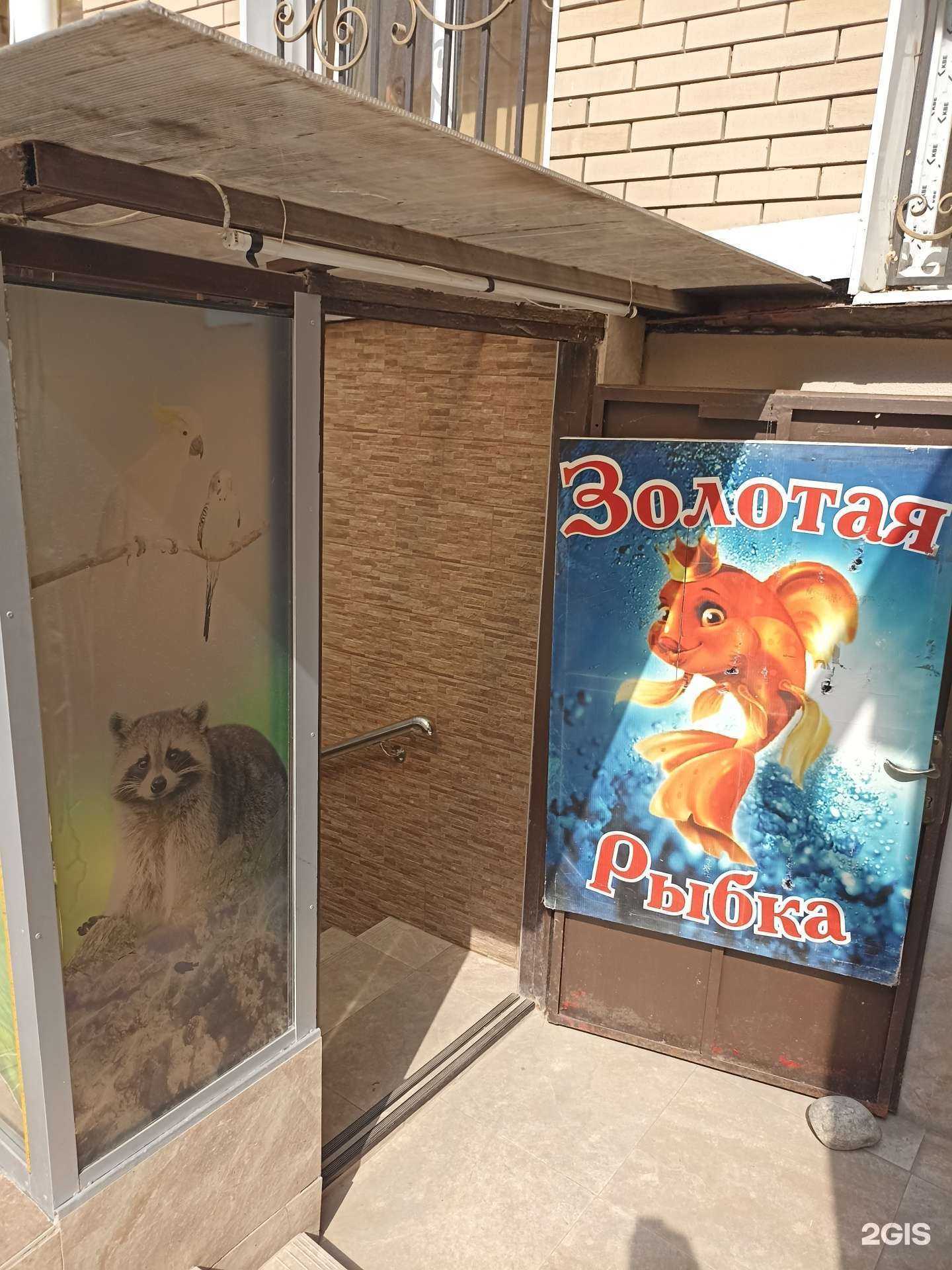 Отзывы на компанию Золотая рыбка в г. Черкесск c фото