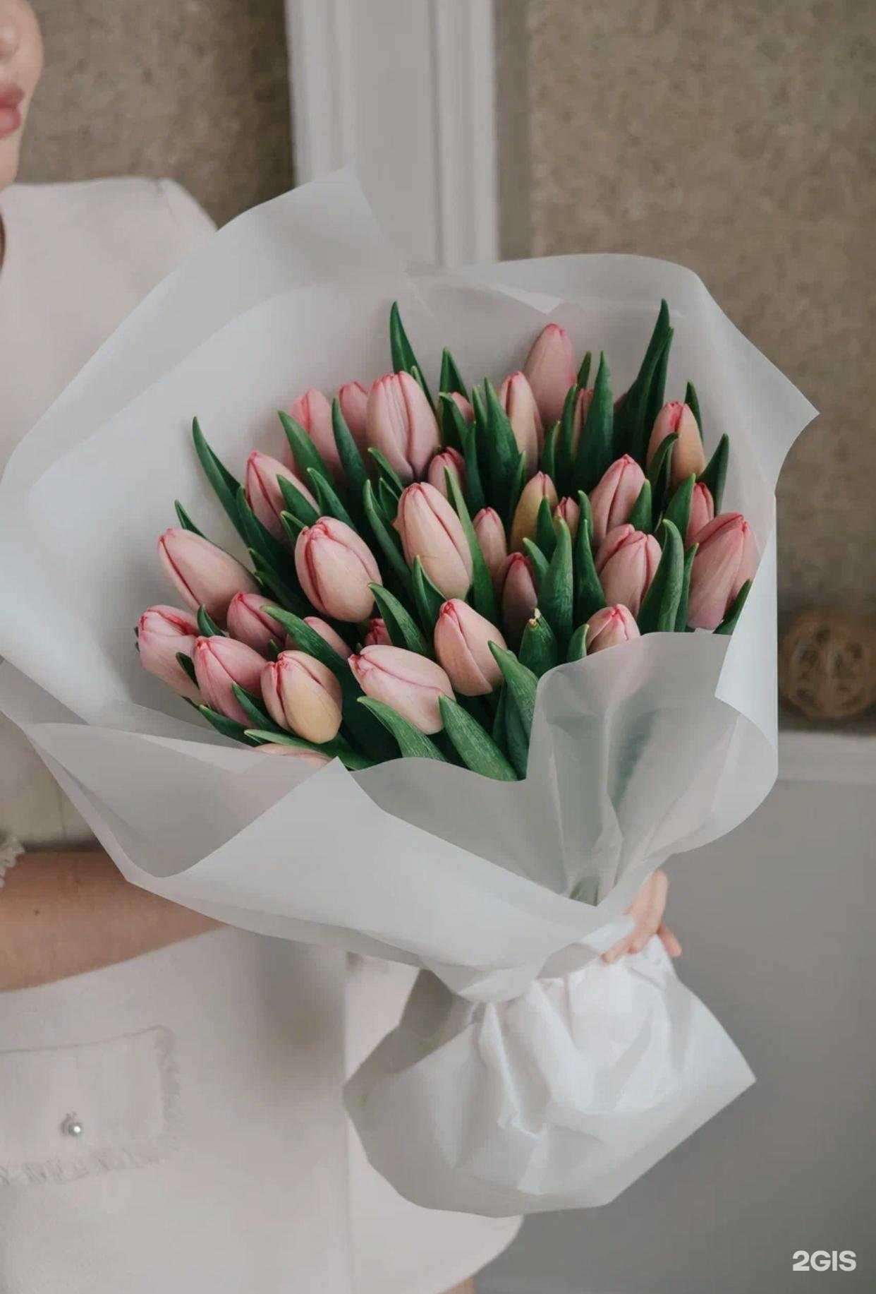 Отзывы на компанию Магнолия+ в г. Казань c фото