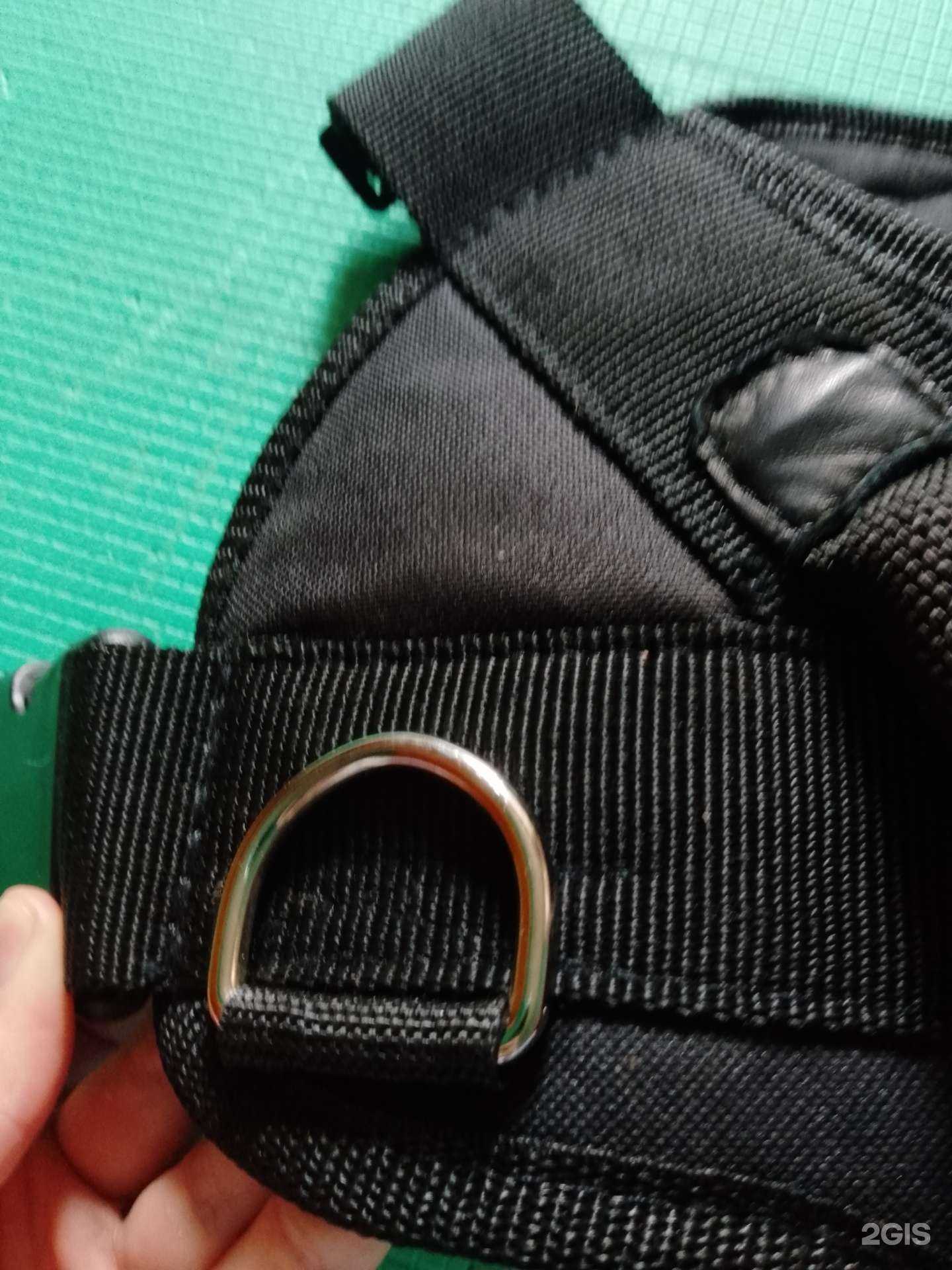 Отзывы на компанию Кошки-Мышки в Вологде c фото