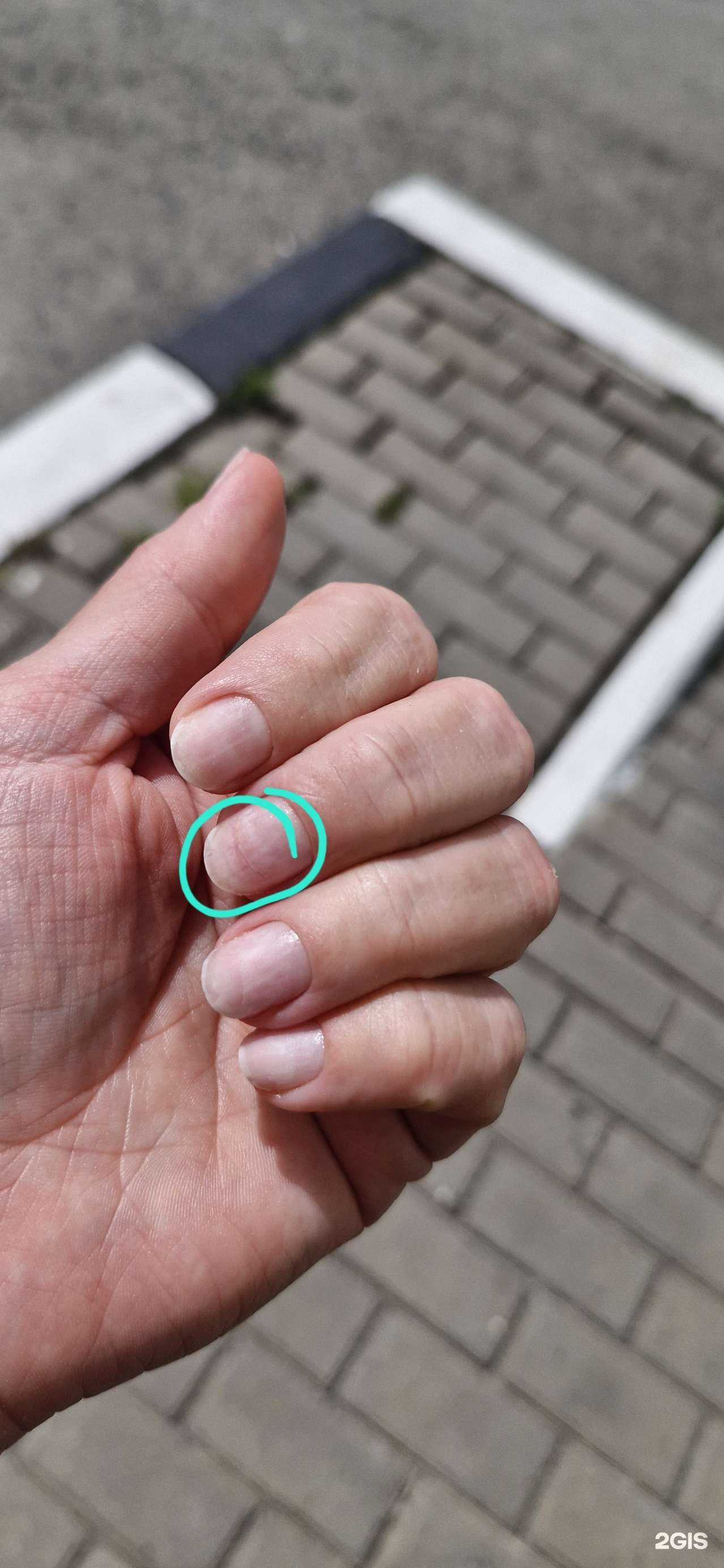 Отзывы на компанию Студия Ксении Андреевой  в Ульяновске c фото