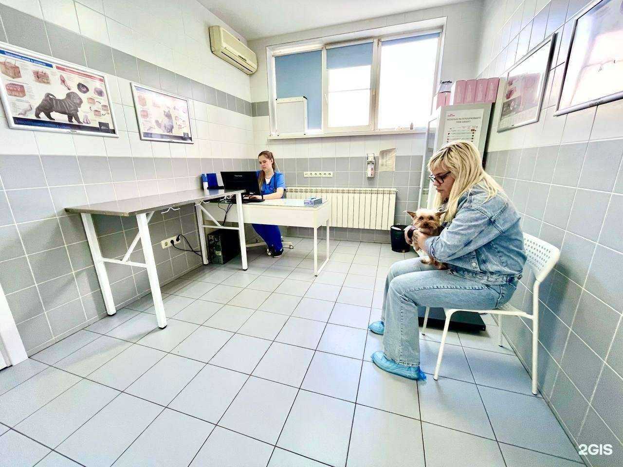 Отзывы на компанию Ветеринарная клиника доктора Чулковой Г.Б. в Волгограде c фото