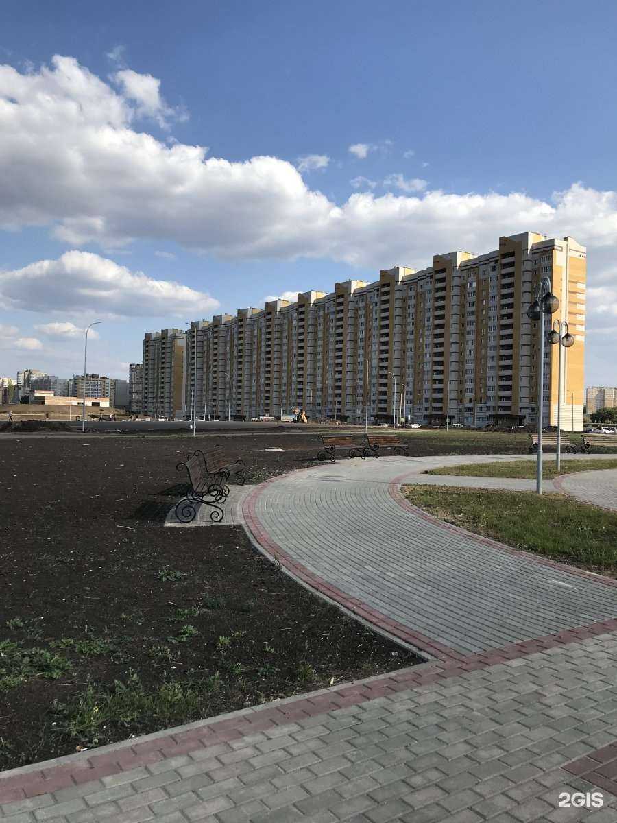 Отзывы на компанию Donatello в Тамбове c фото - фотография 2 из 2