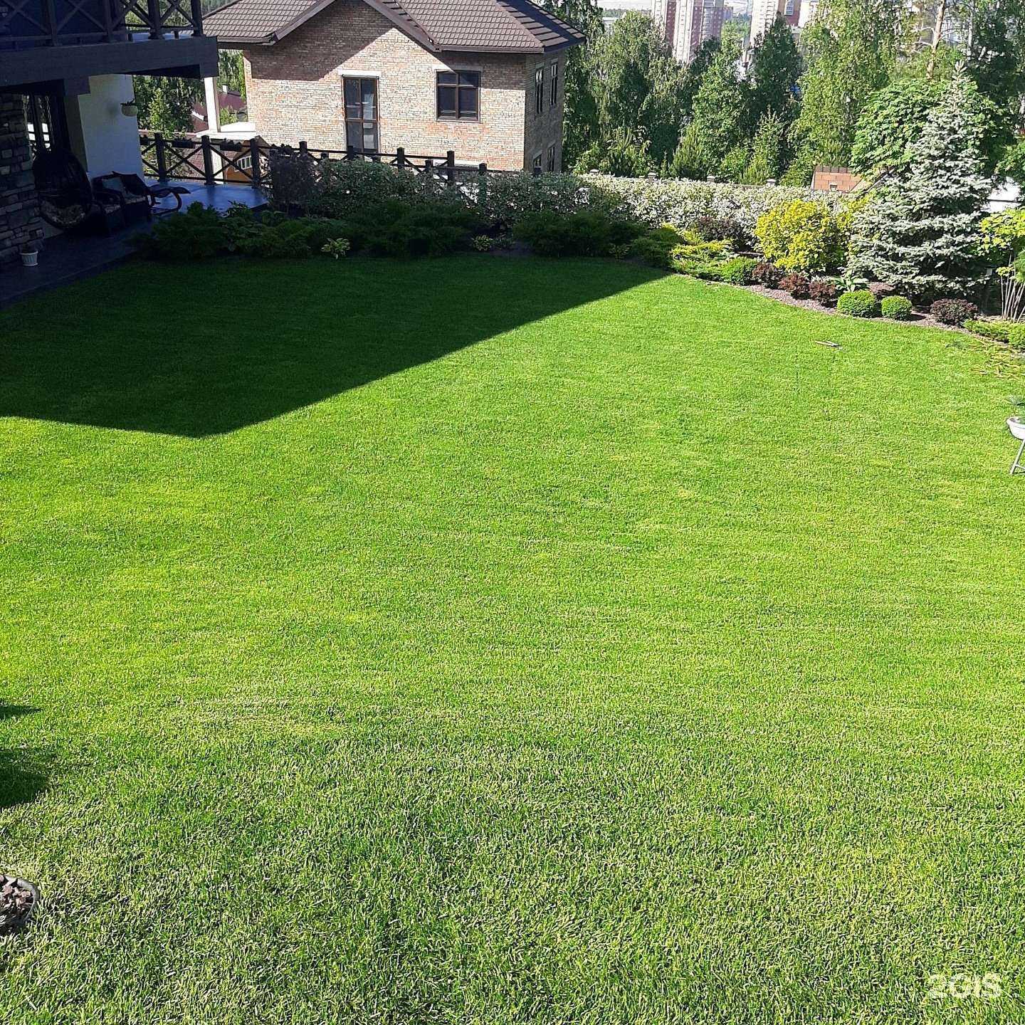 Отзывы на компанию Атмосфера сада в Красноярске c фото