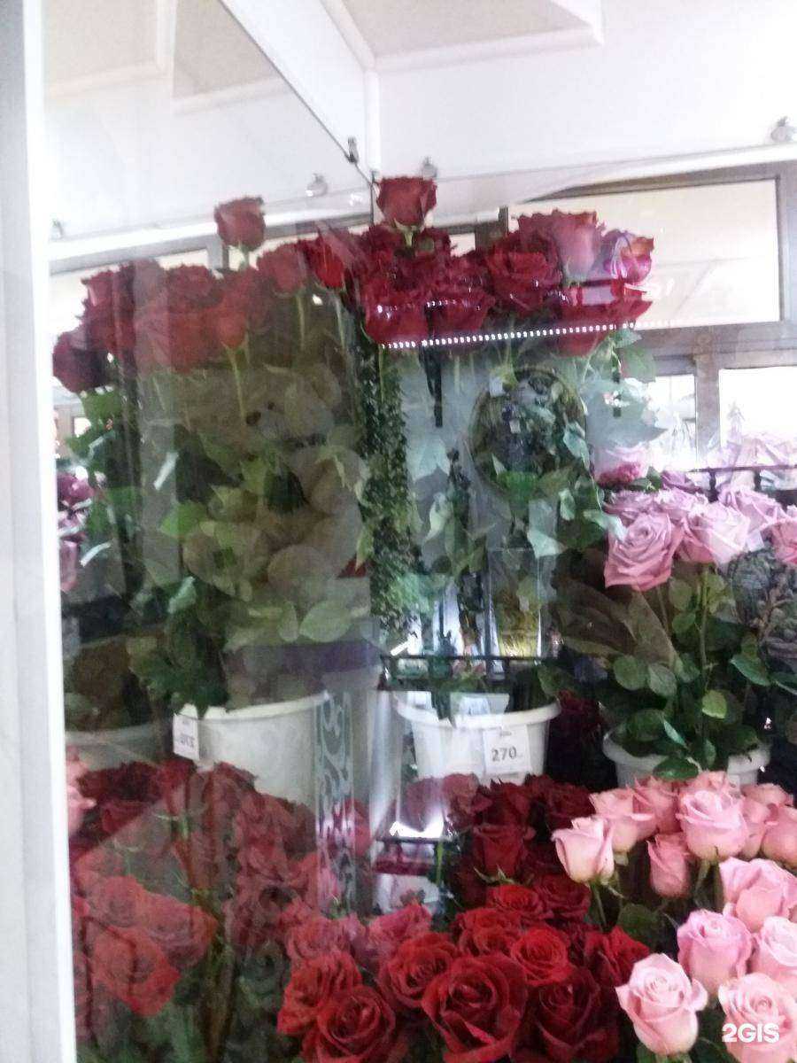 Отзывы на компанию Азалия в Томске c фото