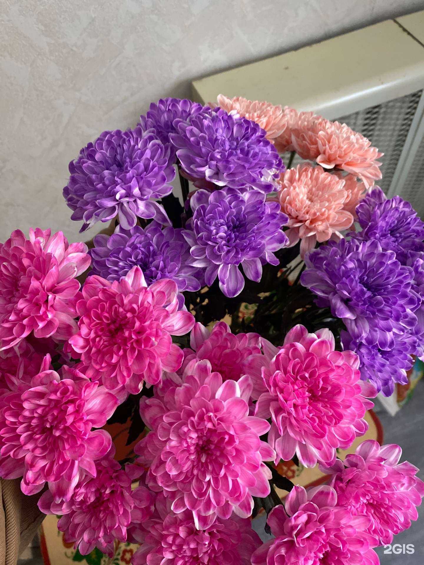 Отзывы на компанию Галина в г. Омск c фото