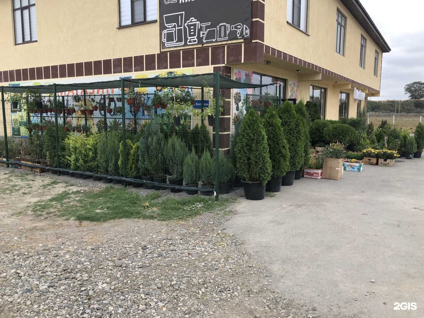 Отзывы на компанию Ваши 6 соток в г. Кизляр c фото