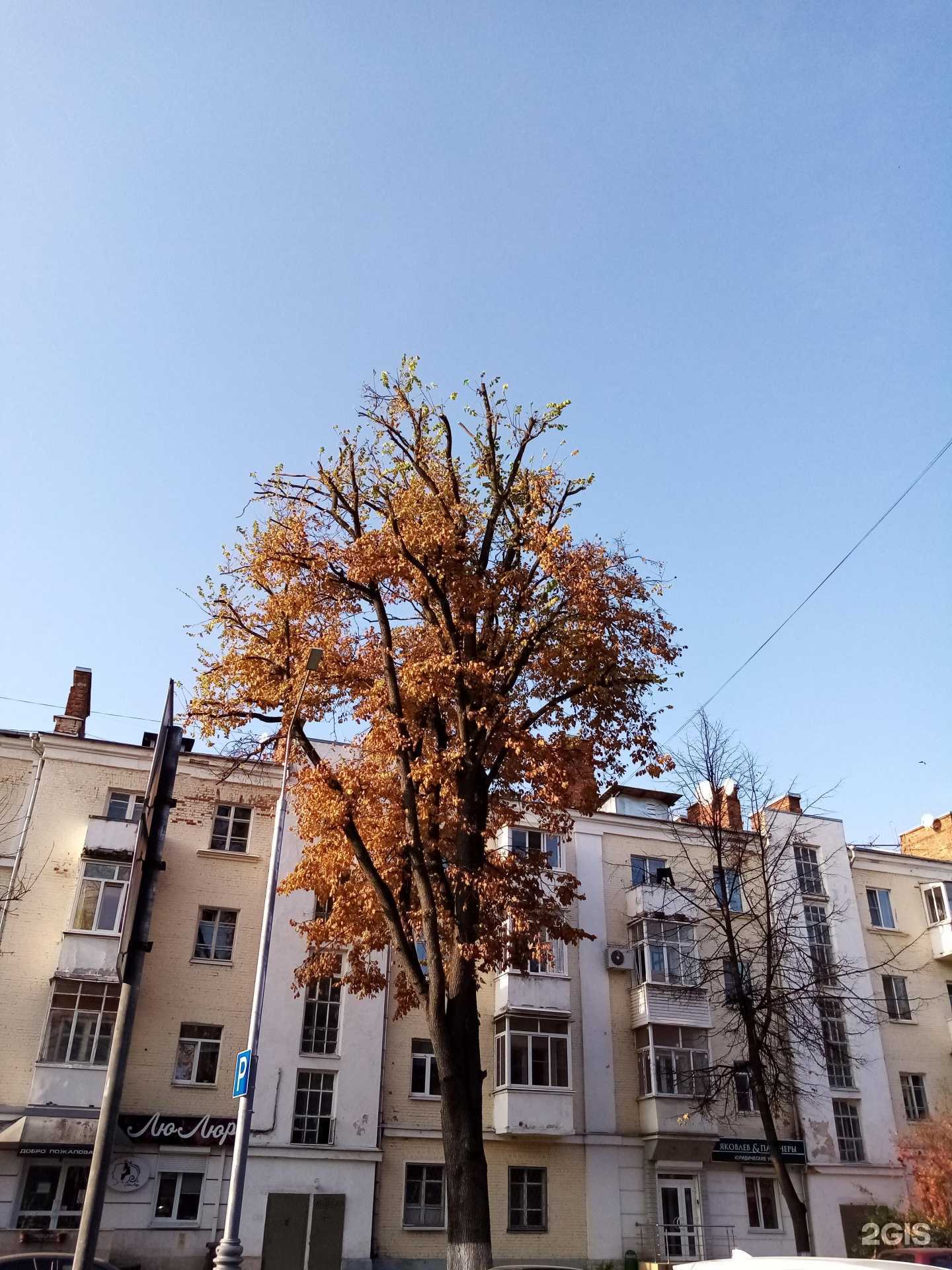 Отзывы на компанию Антропология в Твери c фото - фотография 2 из 2