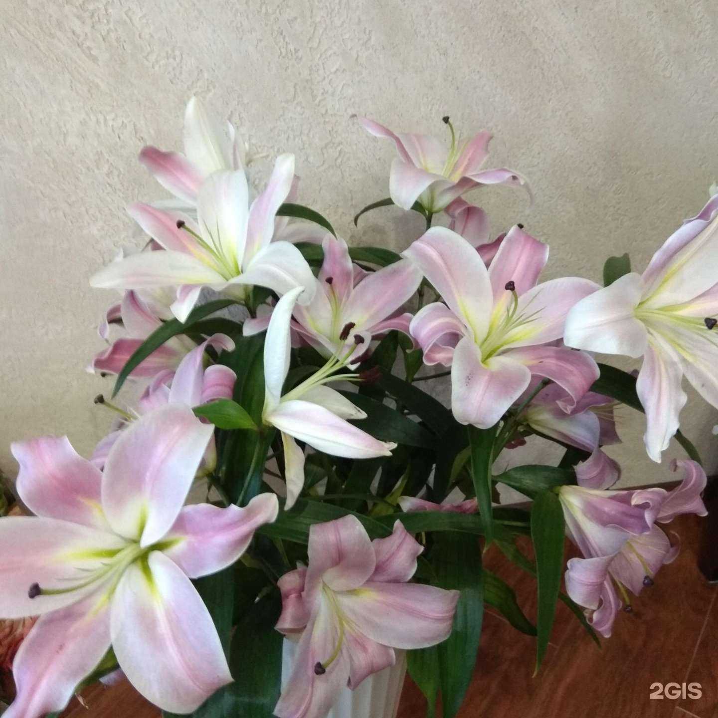 Отзывы на компанию Цветочный магазин в Балашихе c фото