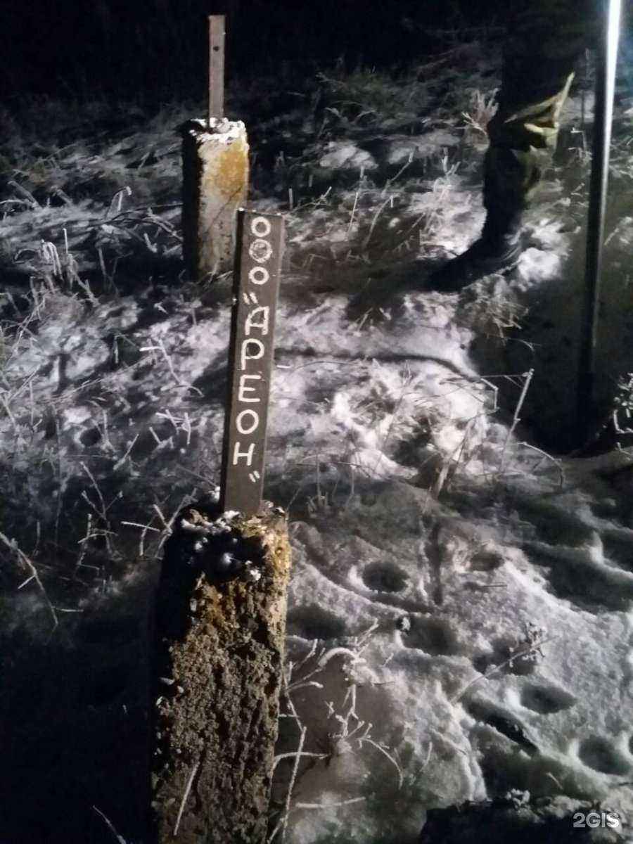 Отзывы на компанию Ареон в г. Волгоград c фото