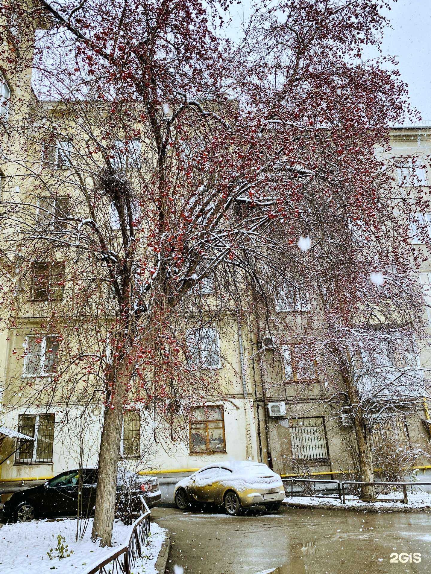 Отзывы на компанию Mister Quest в Магнитогорске c фото - фотография 2 из 2