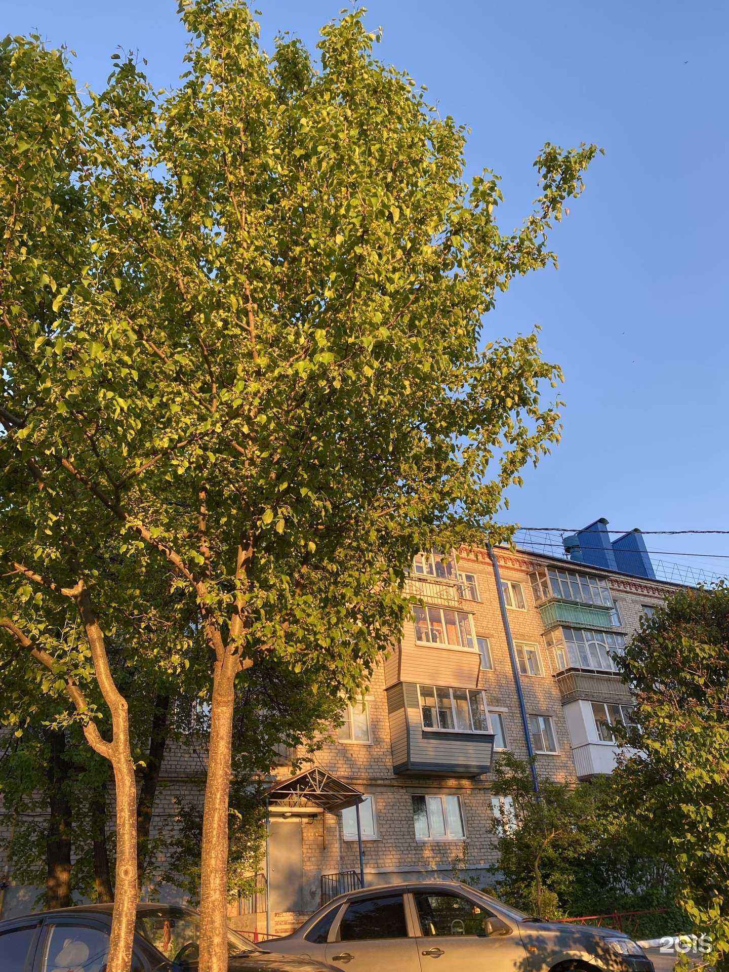 Отзывы на компанию Йола-маркет в Чебоксарах c фото - фотография 2 из 2