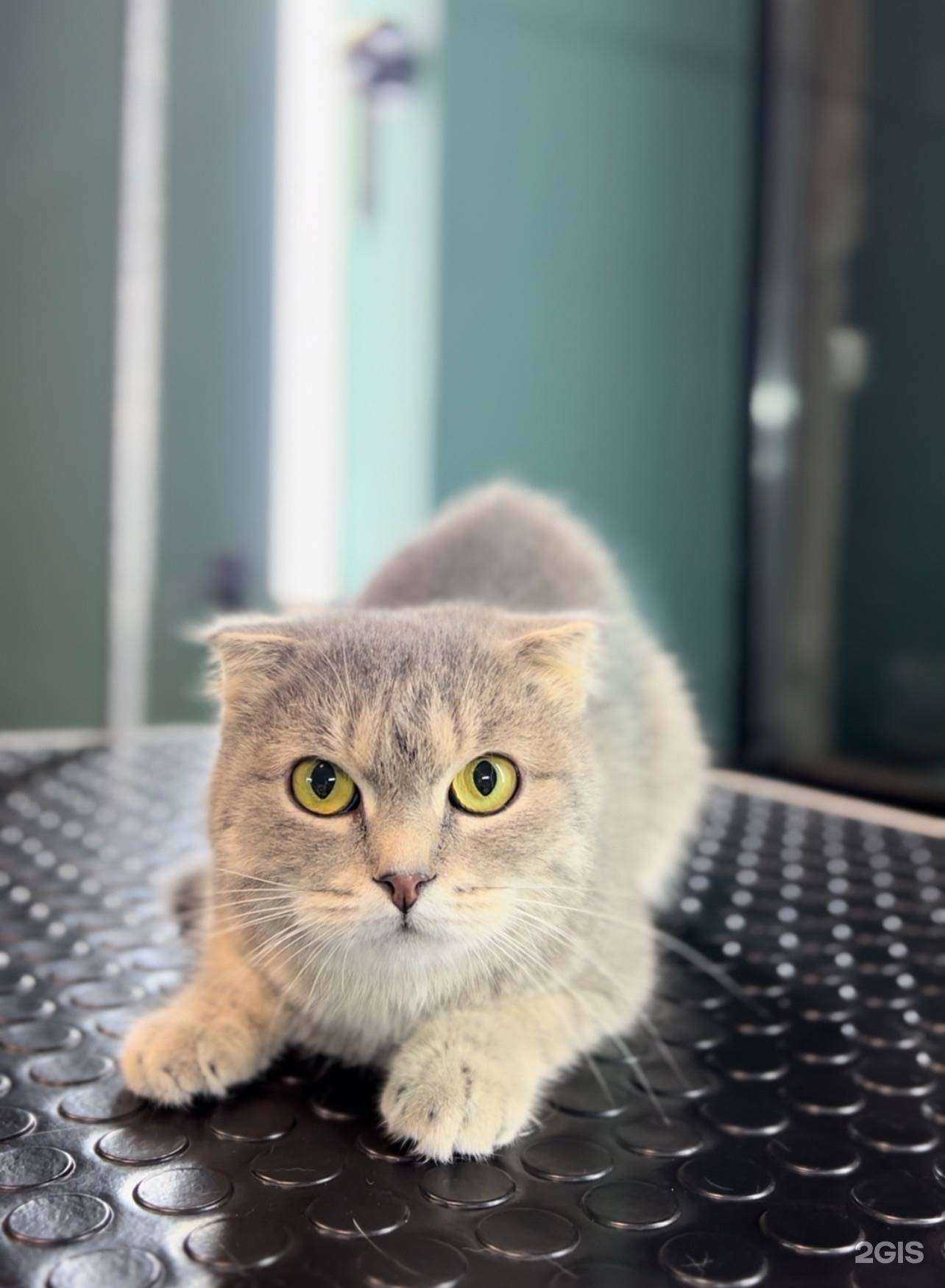 Отзывы на компанию Rokky в Златоусте c фото