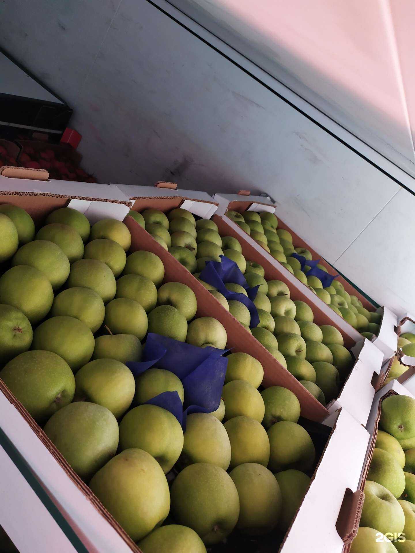 Отзывы на компанию Emex в Красноярске c фото - фотография 2 из 2