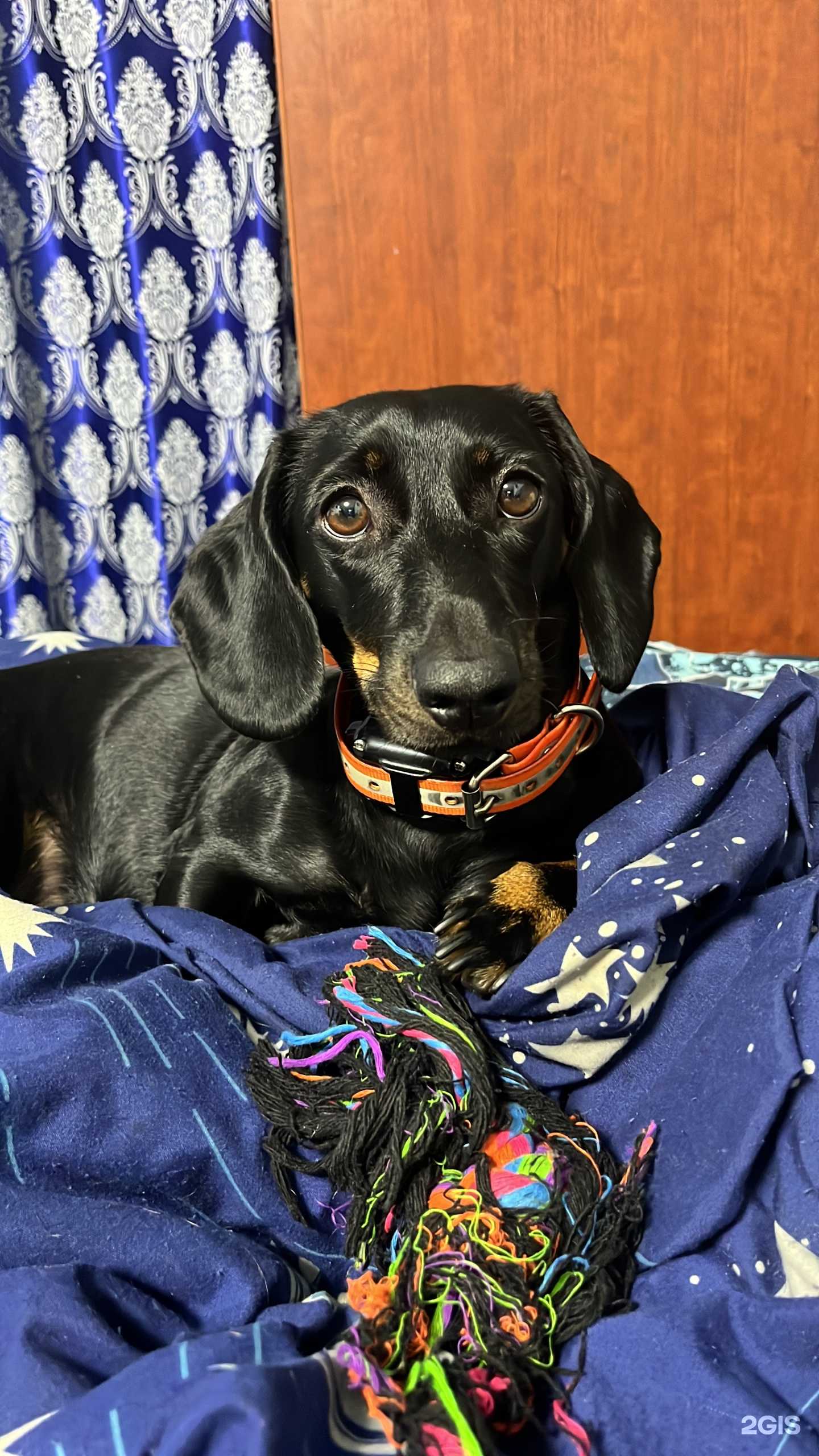 Отзывы на компанию Феникс в г. Дубна c фото