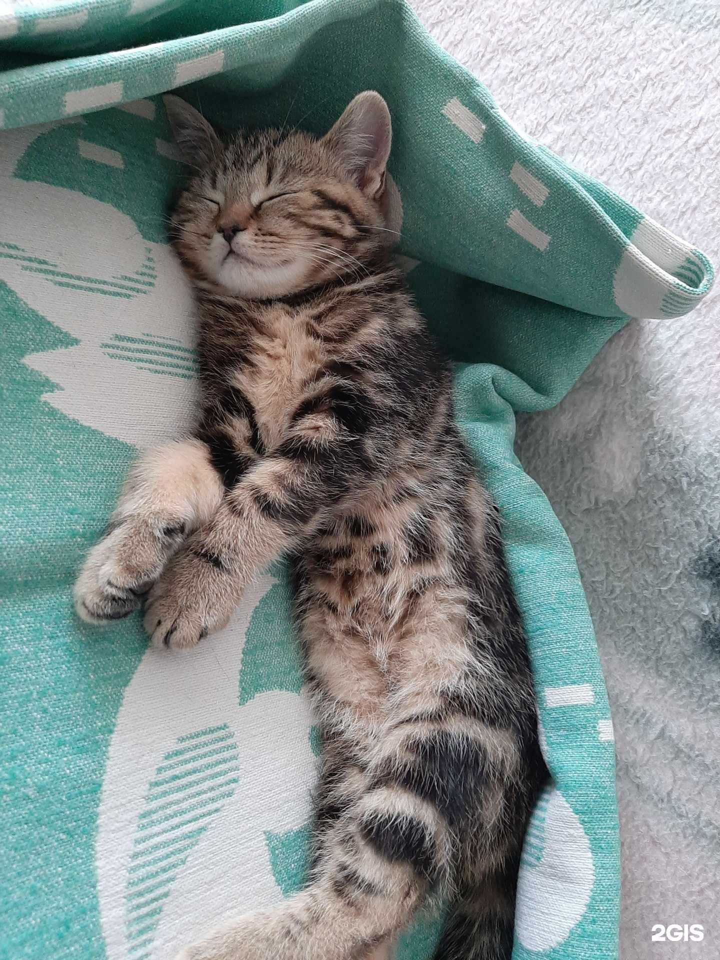 Отзывы на компанию Виалаки в г. Красноярск c фото