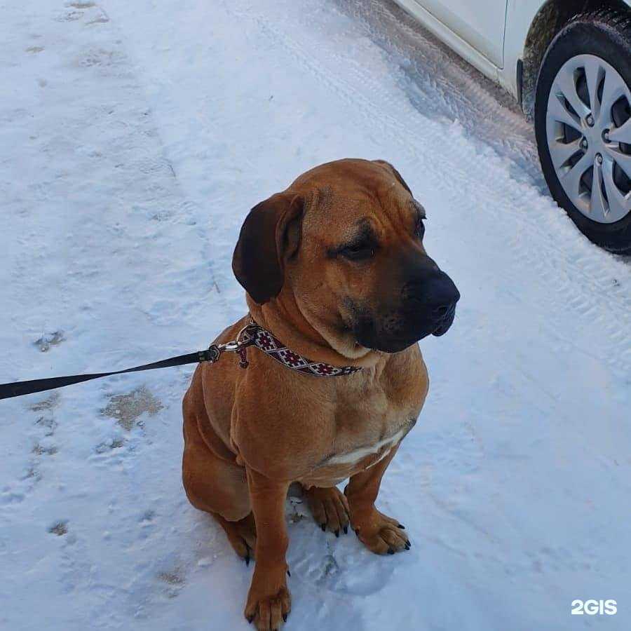 Отзывы на компанию Доброта в г. Уфа c фото