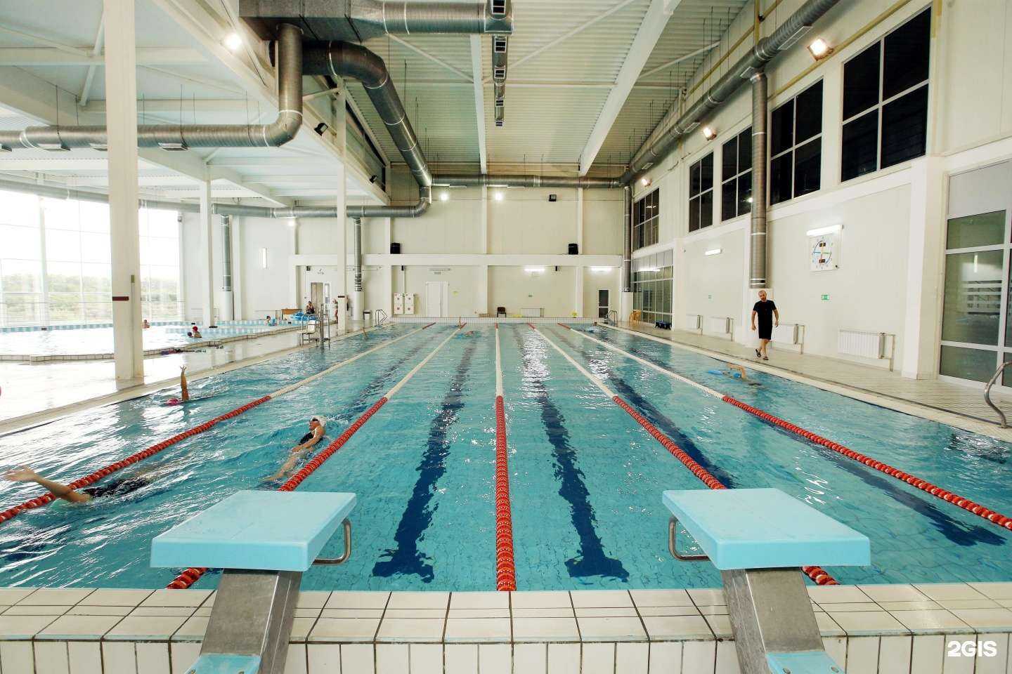 Отзывы на компанию Светлогорский в Светлогорске c фото