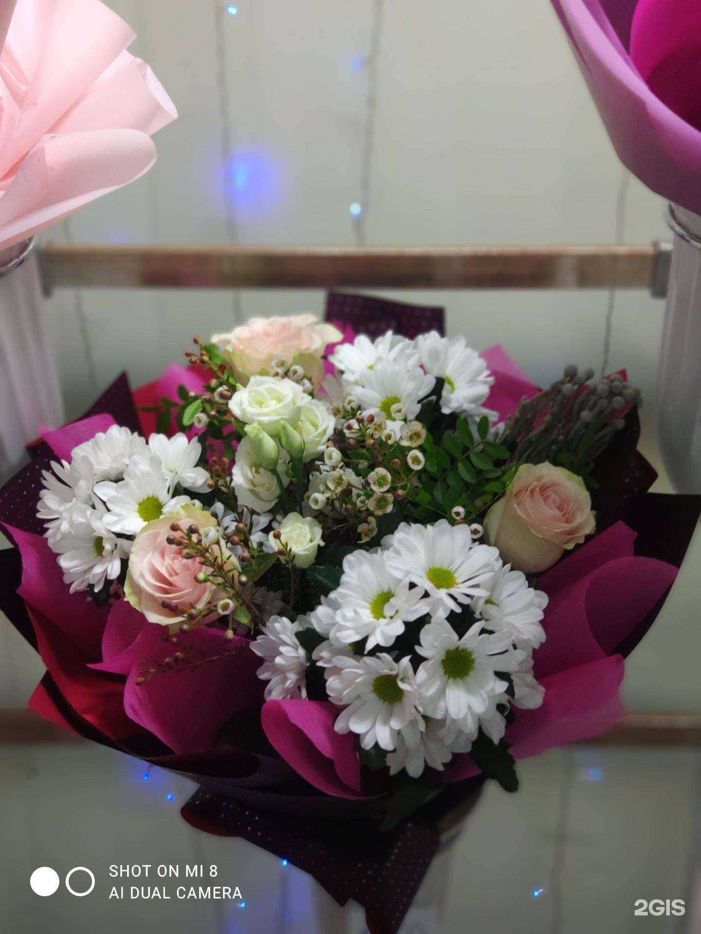 Отзывы на компанию Орхидея в Находке c фото