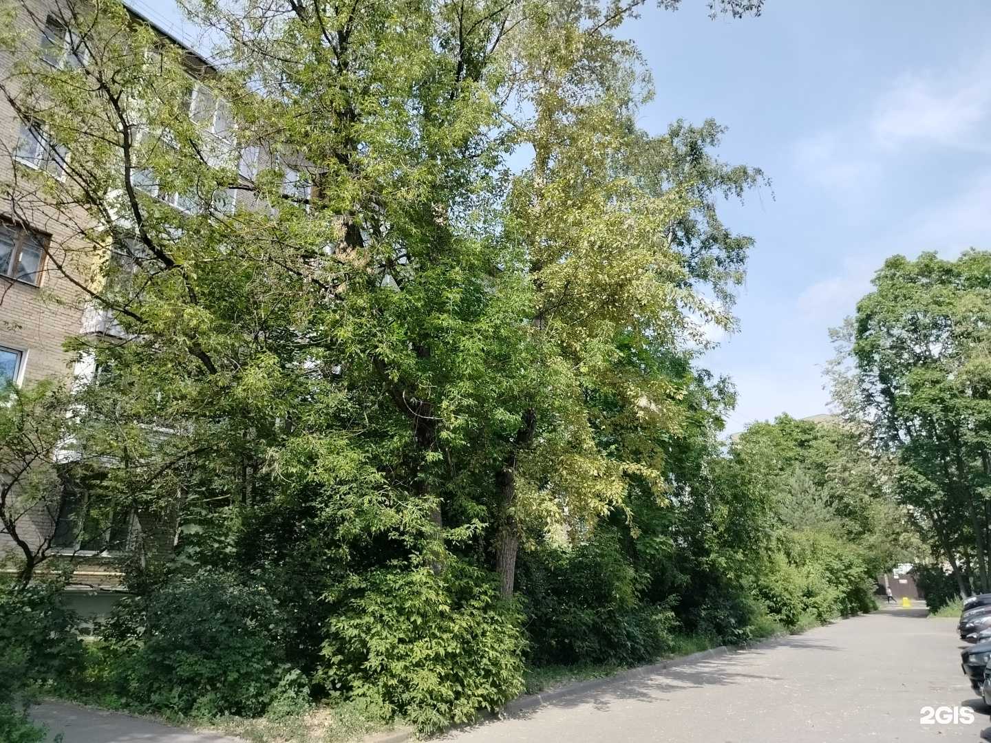 Отзывы на компанию Айсберг в Жуковском c фото - фотография 2 из 2