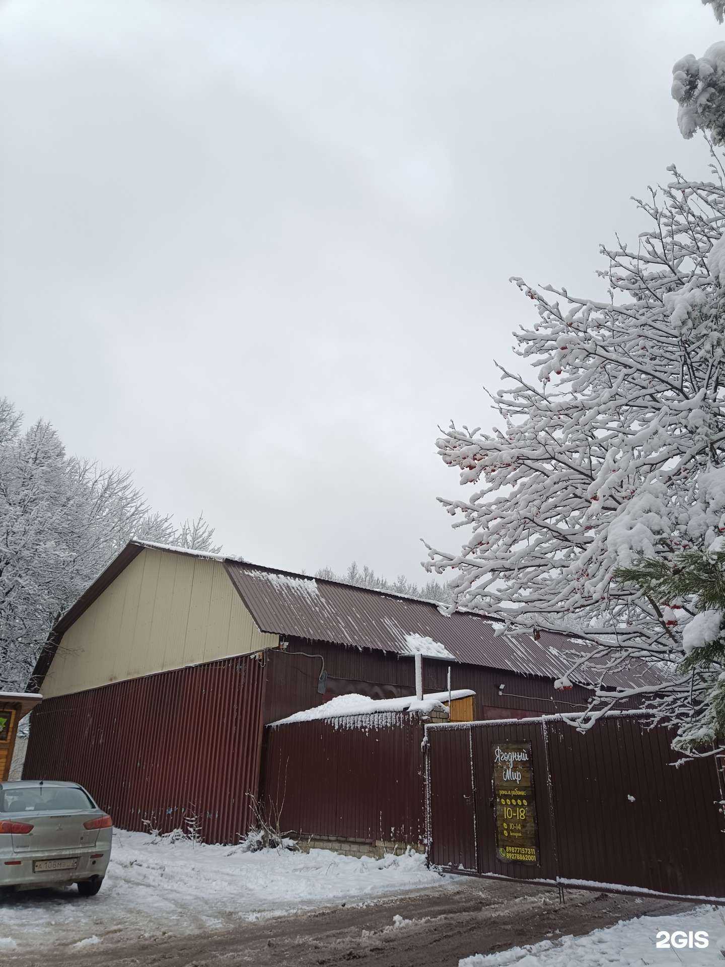 Отзывы на компанию Все для бани в Йошкар-Оле c фото - фотография 2 из 2