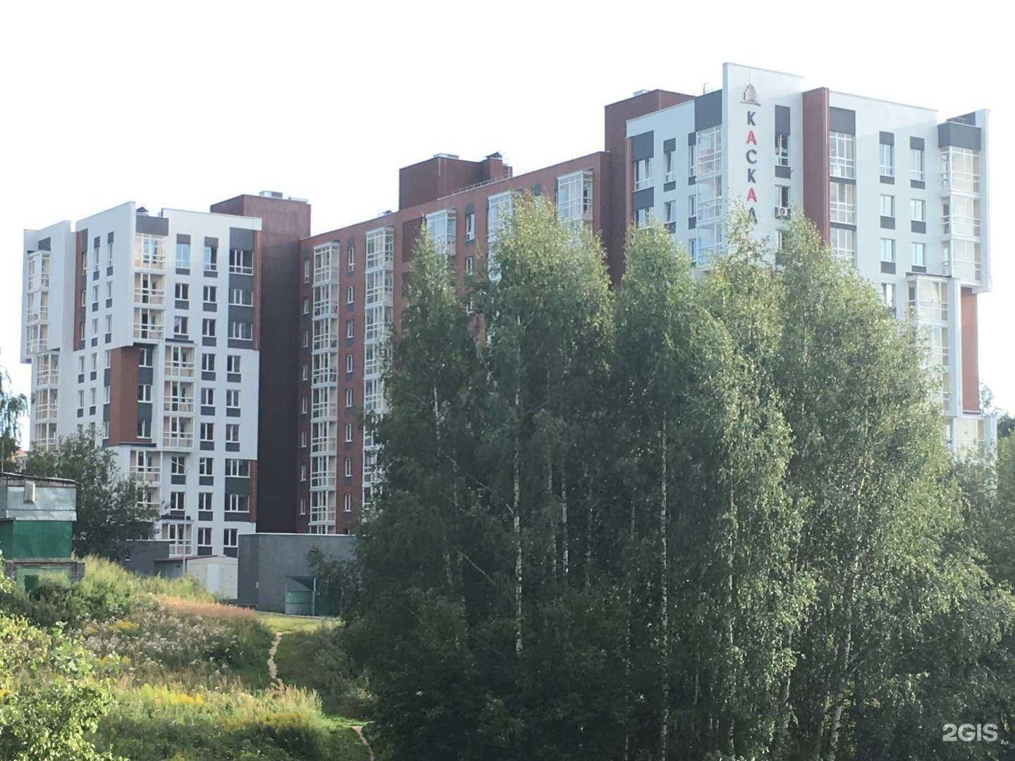 Отзывы на компанию Tiger boxing в Нижнем Новгороде c фото - фотография 2 из 2