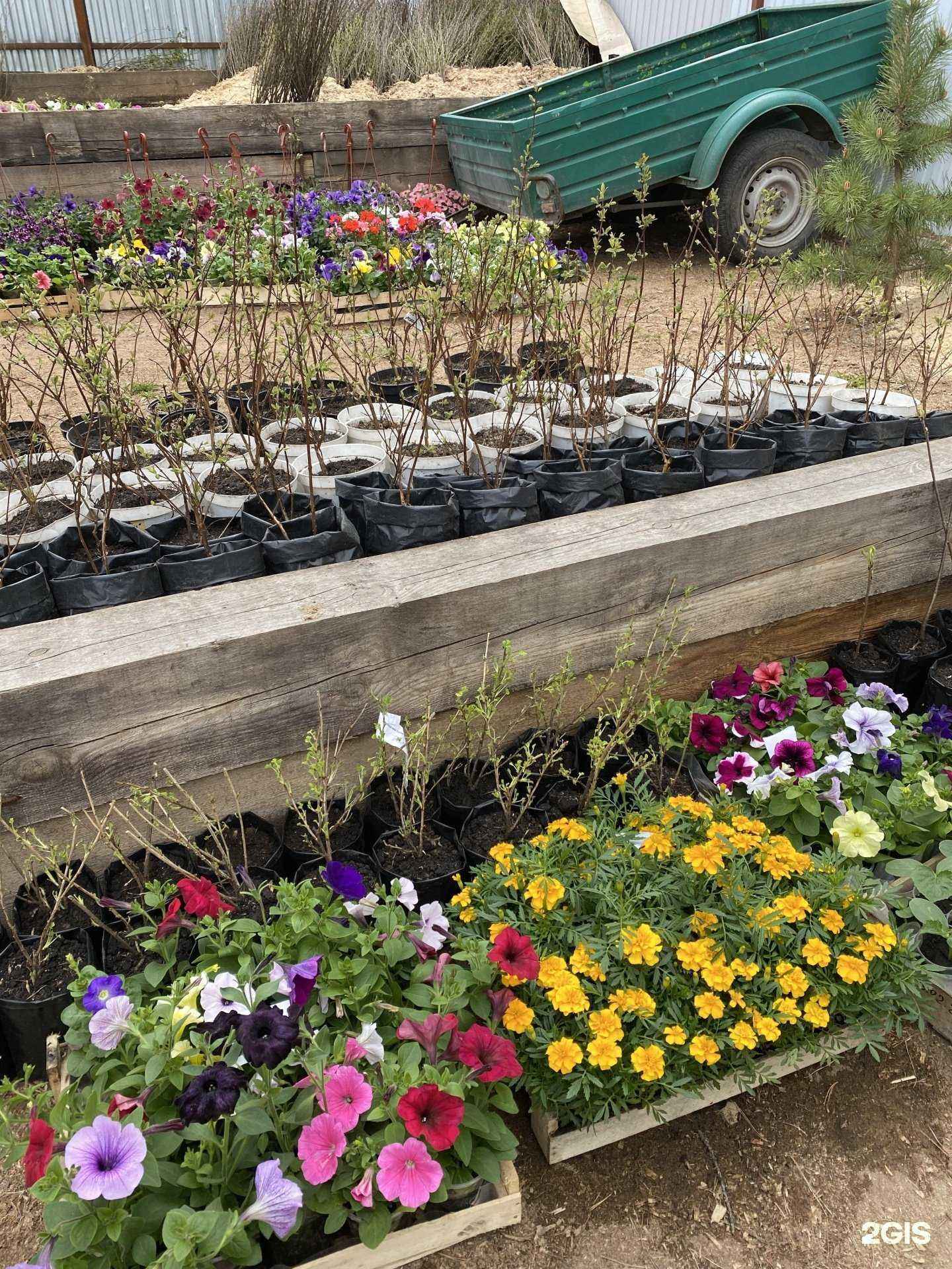 Отзывы на компанию Клен в г. Красноярск c фото