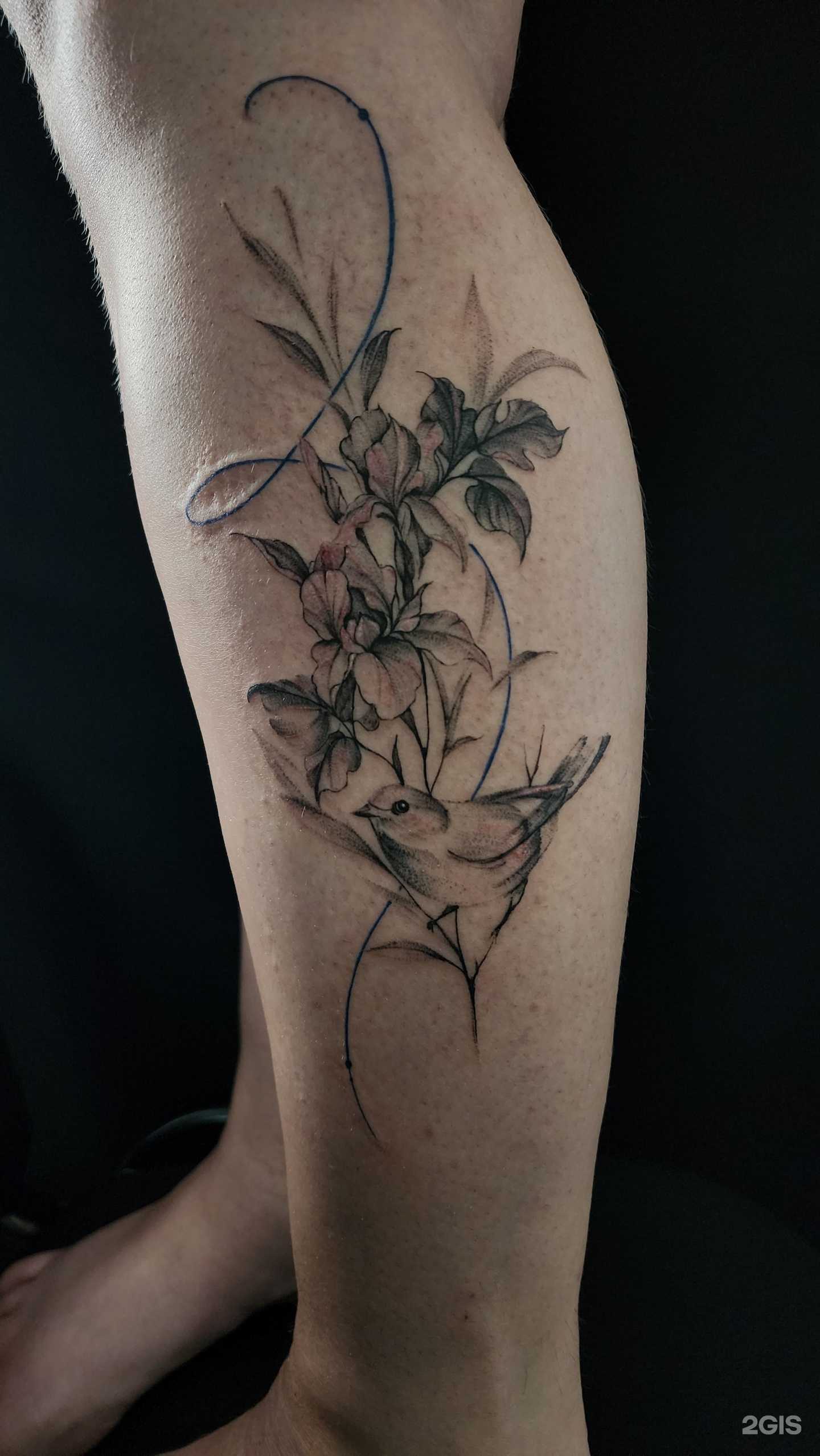 Отзывы на компанию Elysium в г. Барнаул c фото