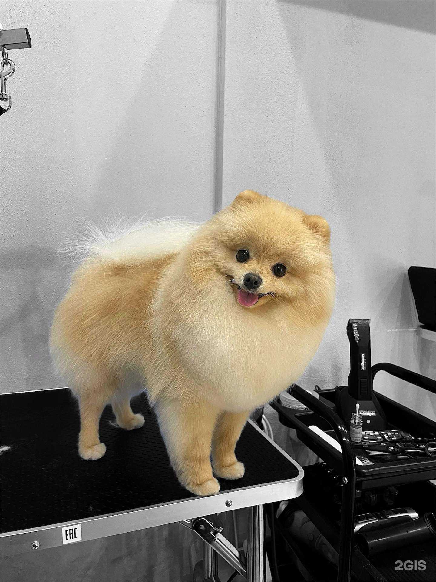 Отзывы на компанию Захвост в Краснодаре c фото