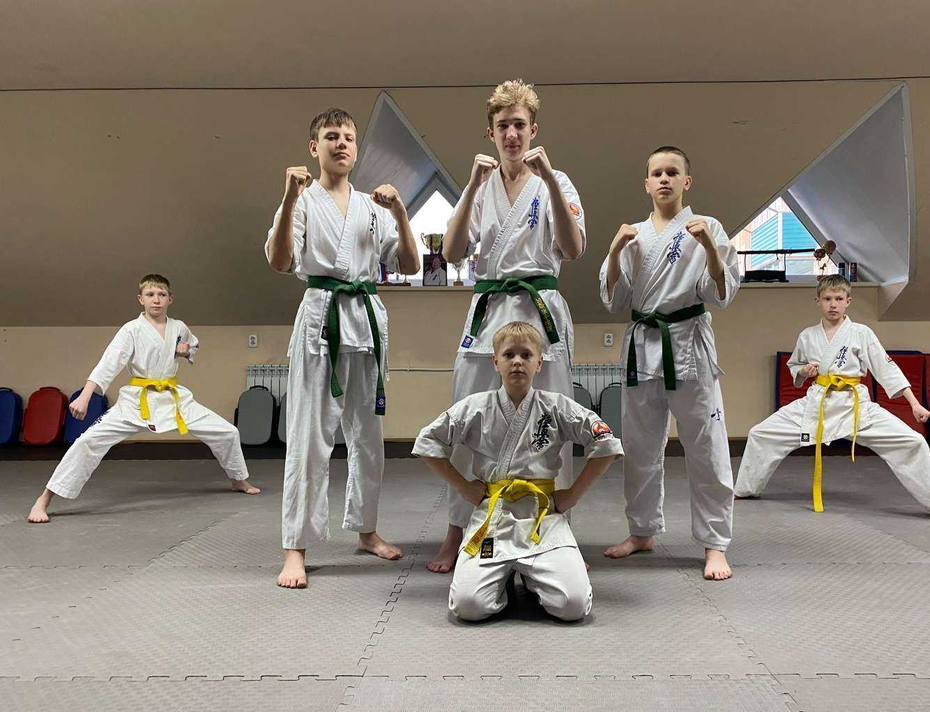 Отзывы на компанию MednOV Dojo в г. Рубцовск c фото