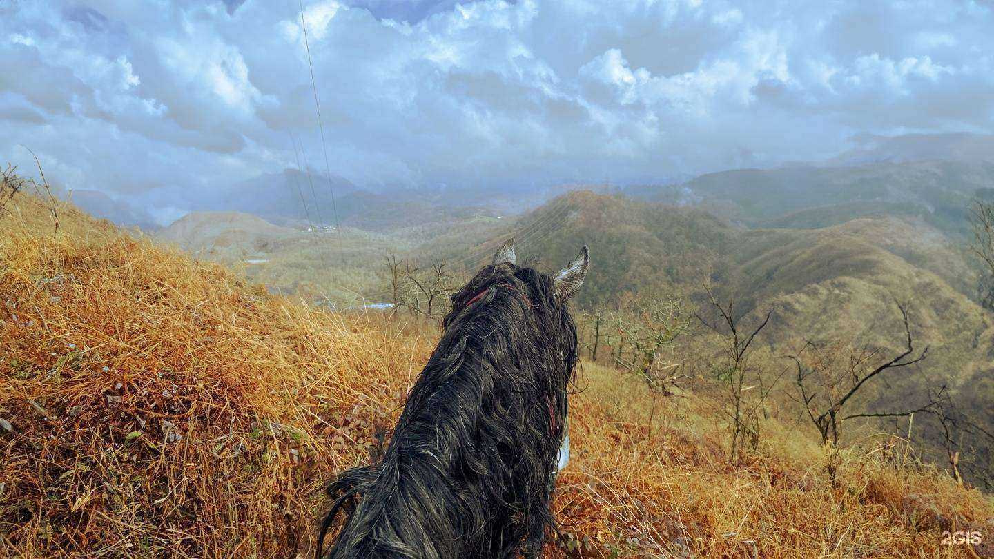 Отзывы на компанию Фердинанд в Сочи c фото