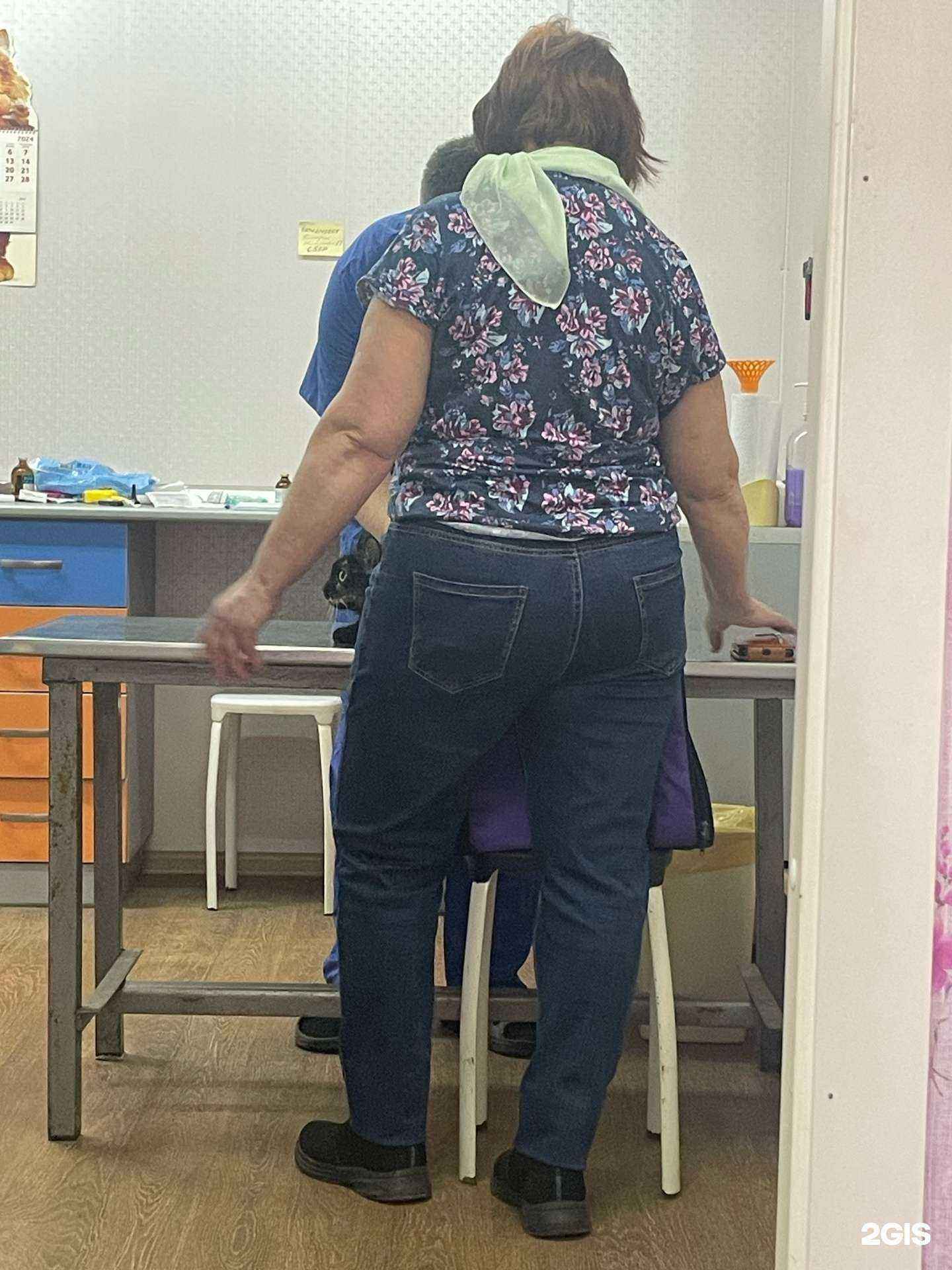 Отзывы на компанию ВетТочка в г. Сыктывкар c фото