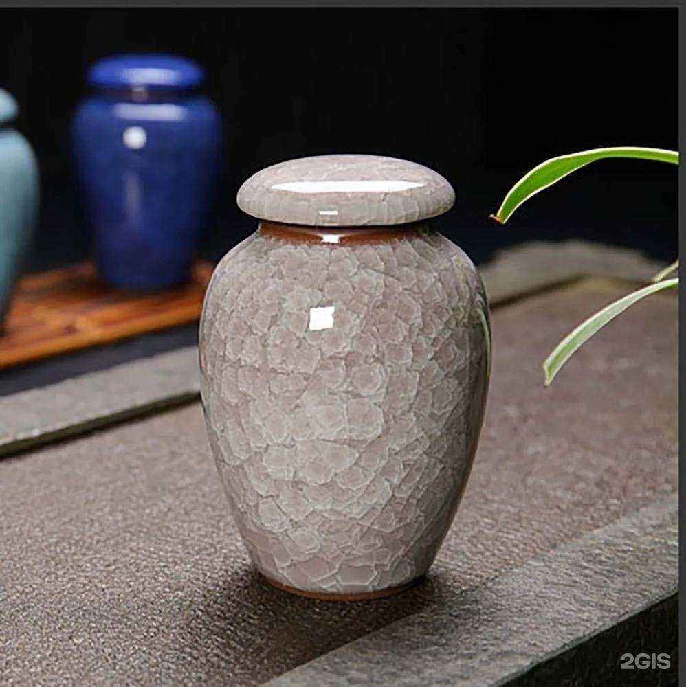 Отзывы на компанию ПетиПэт в Новосибирске c фото