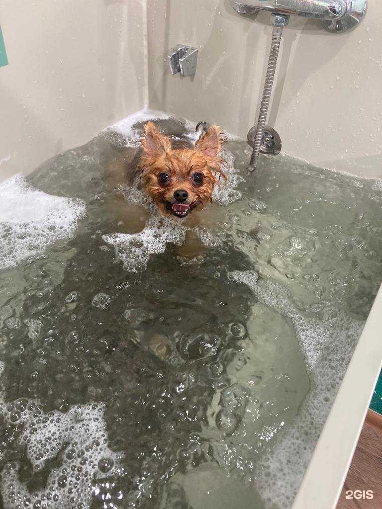 Отзывы на компанию Цацагрум в г. Казань c фото