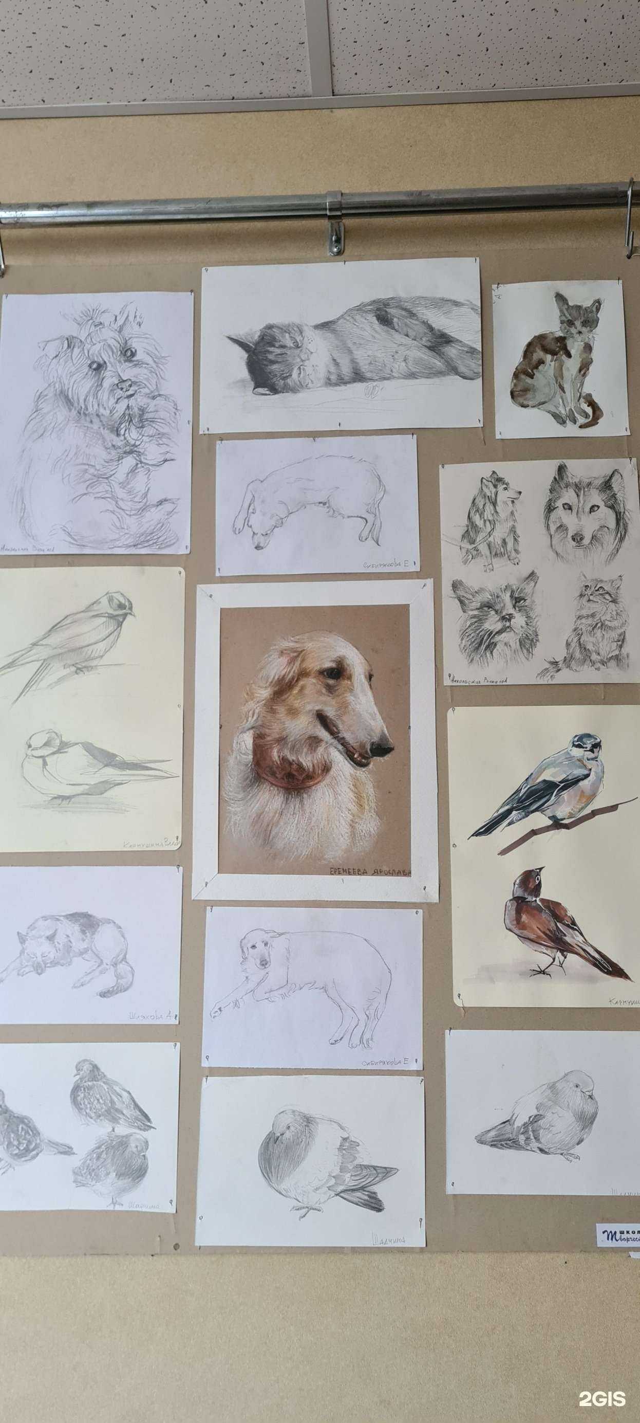 Отзывы на компанию Средняя школа №19 в г. Новосибирск c фото